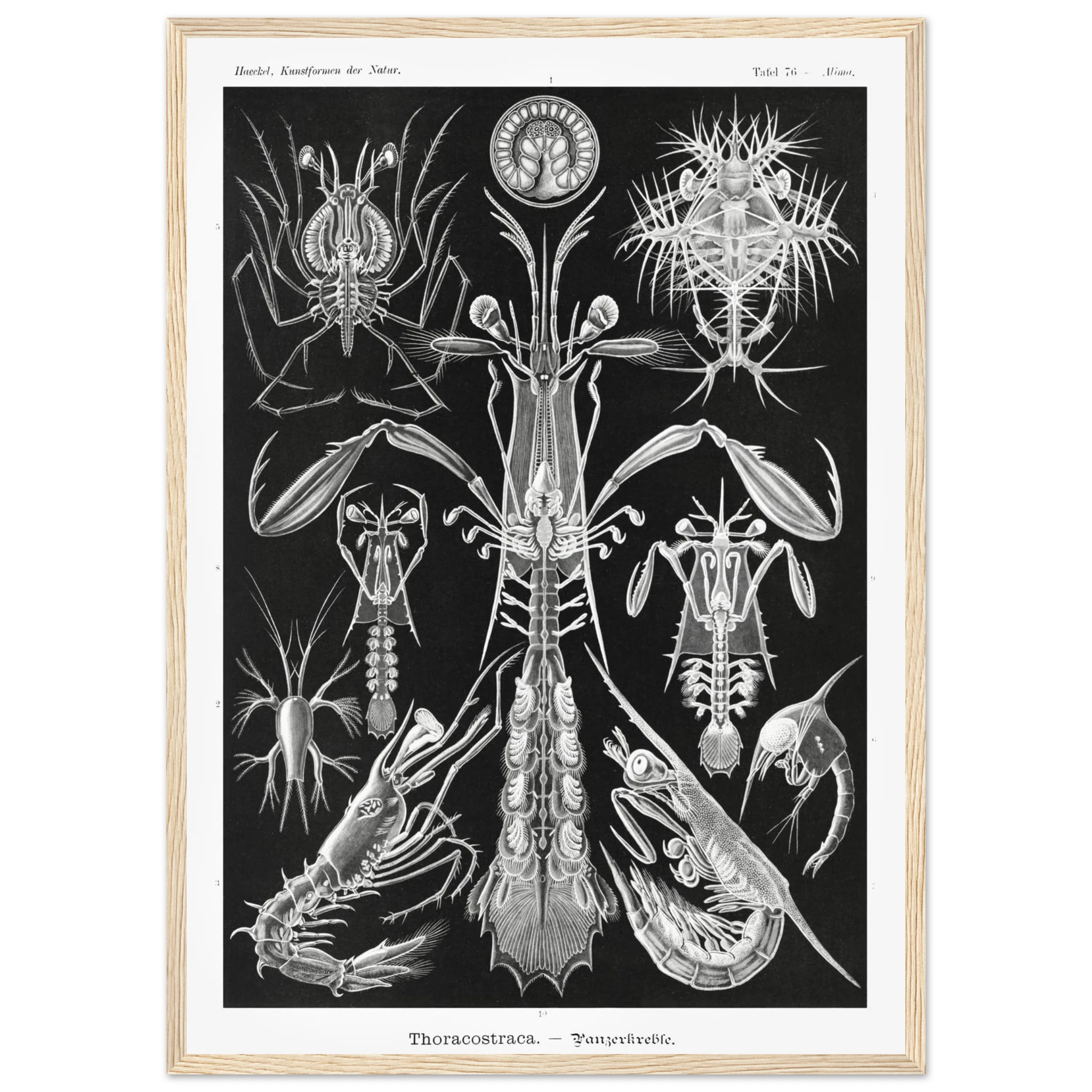 e2715fcf-45c1-49ad-822c-c398252101ba