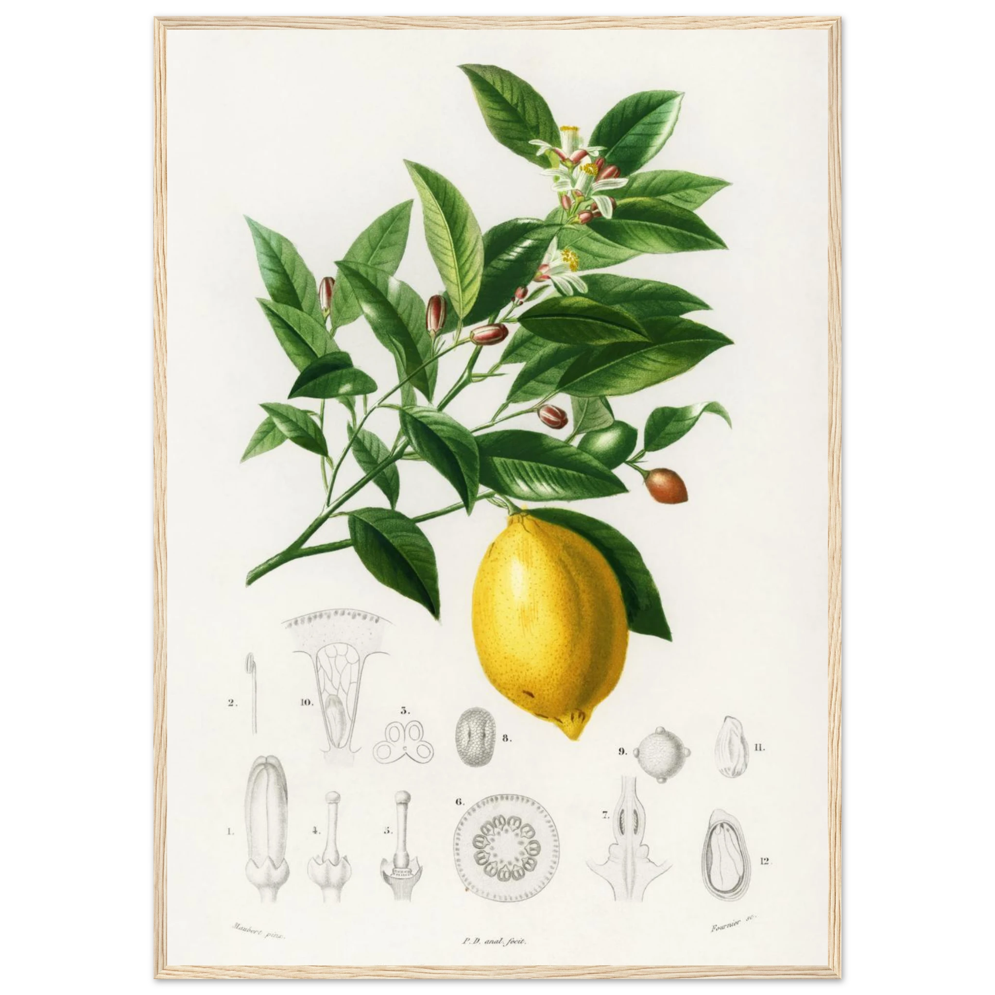 e275ceb2-1584-489e-a0ae-536ebb292db2