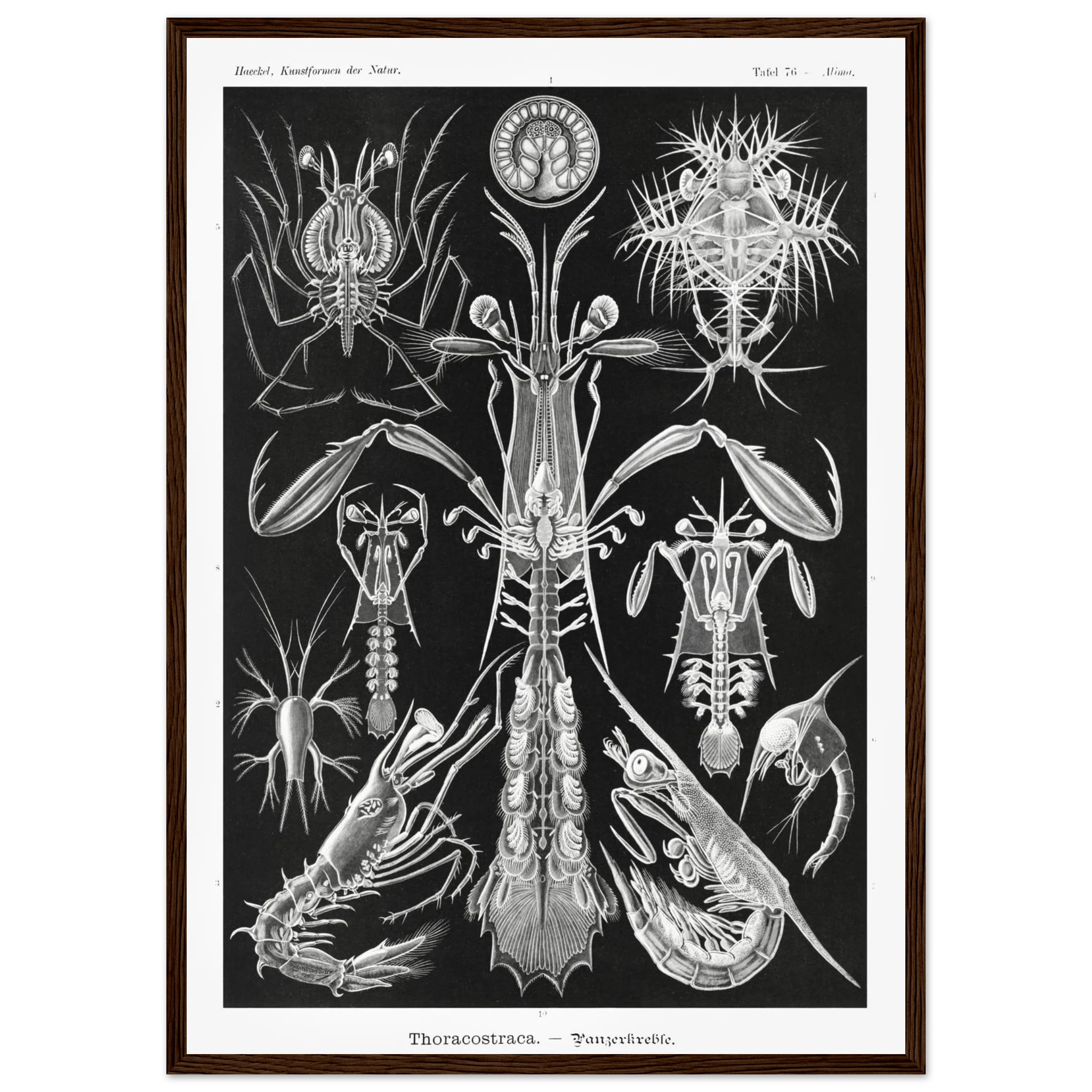 e2cb06b8-5bc8-49e9-bebe-dc919338b91d