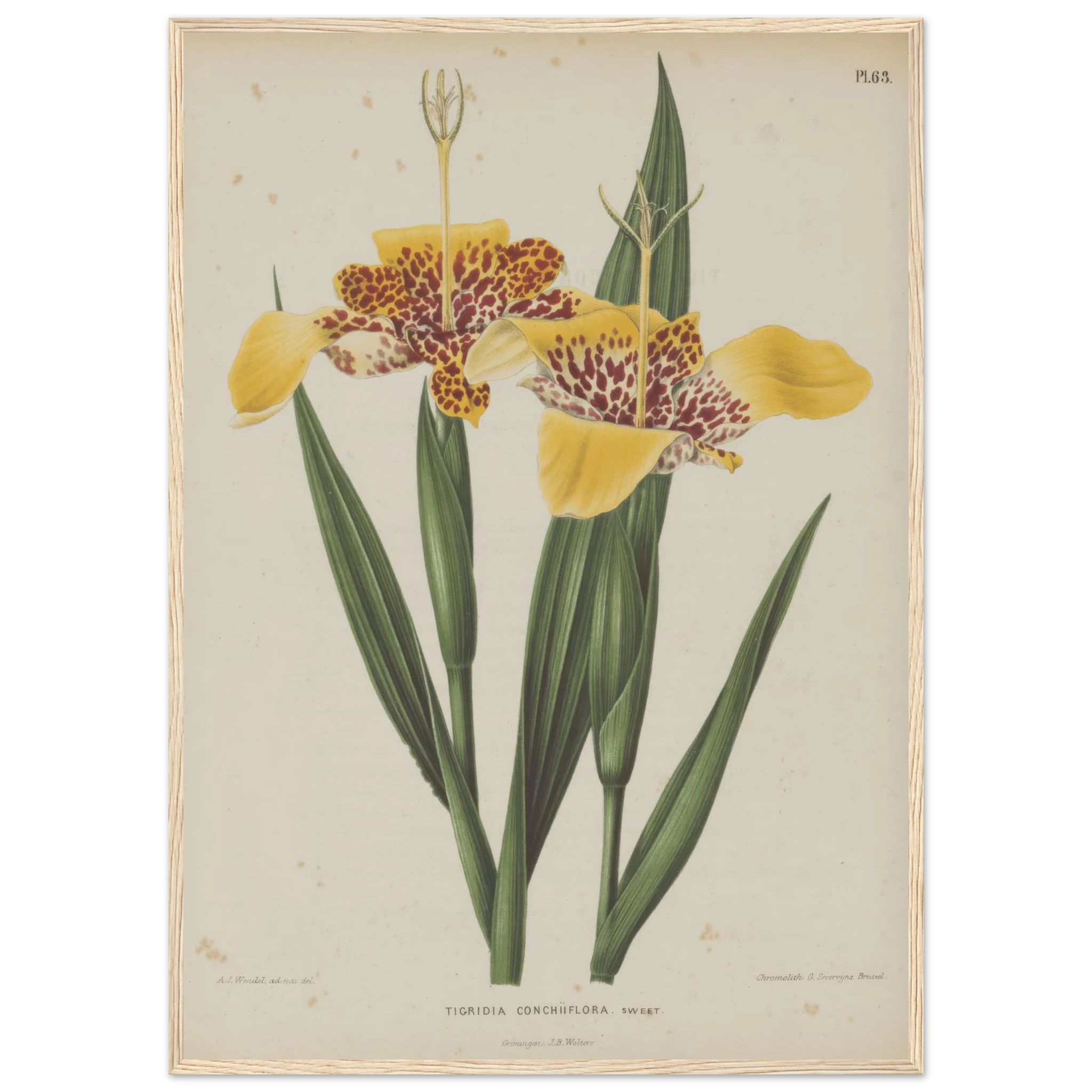 e2d9c9bf-4e5d-4e68-8f02-5fdb0d0002e4