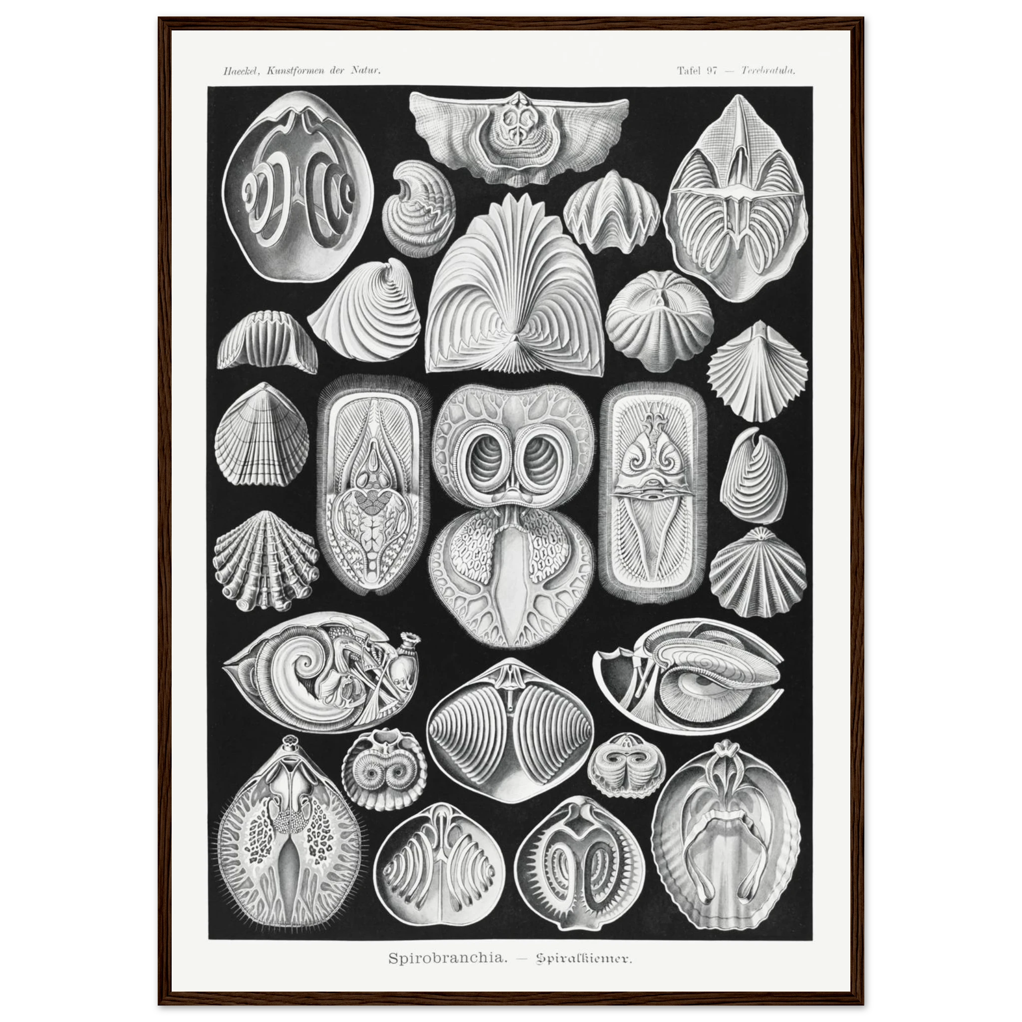 e38b6d86-57d4-4f9c-8283-daea7186296c