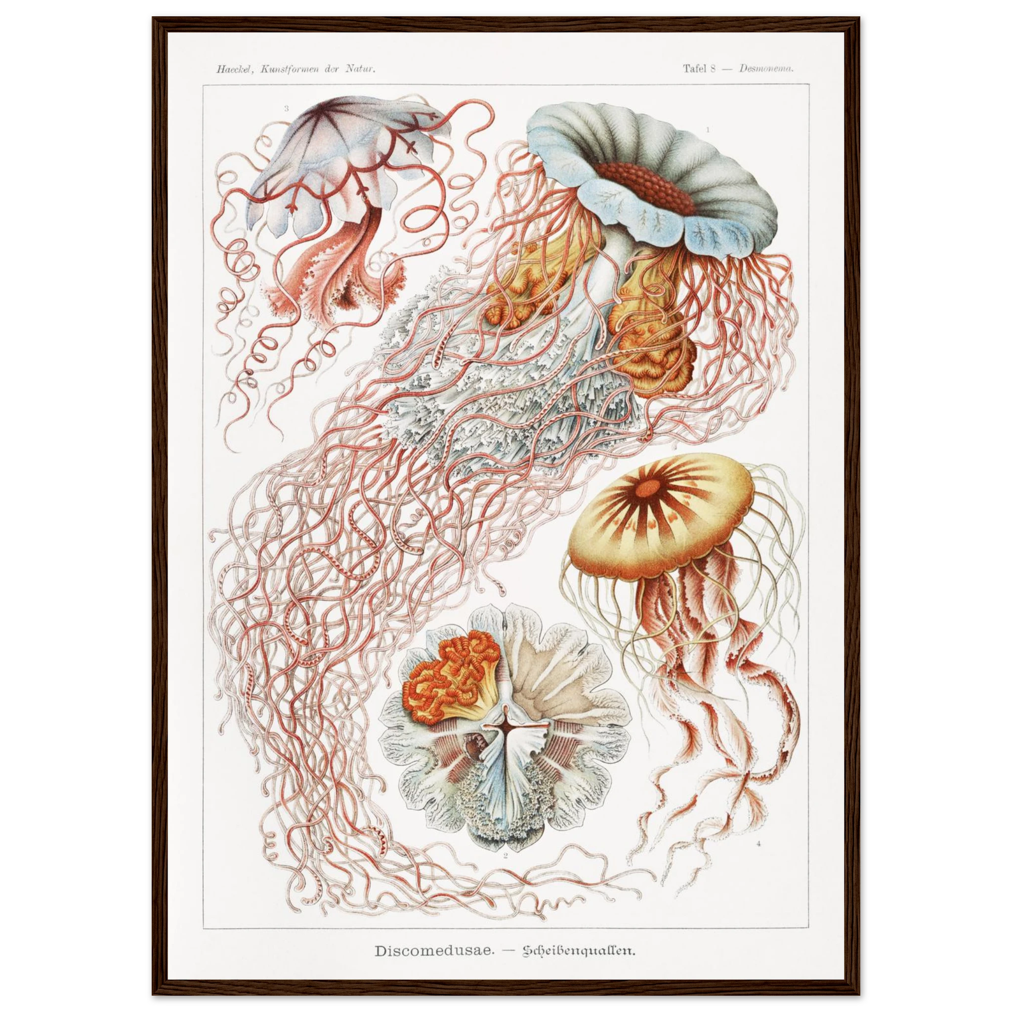 e38eeb3d-4e2d-49d2-931d-91b75a6c053a