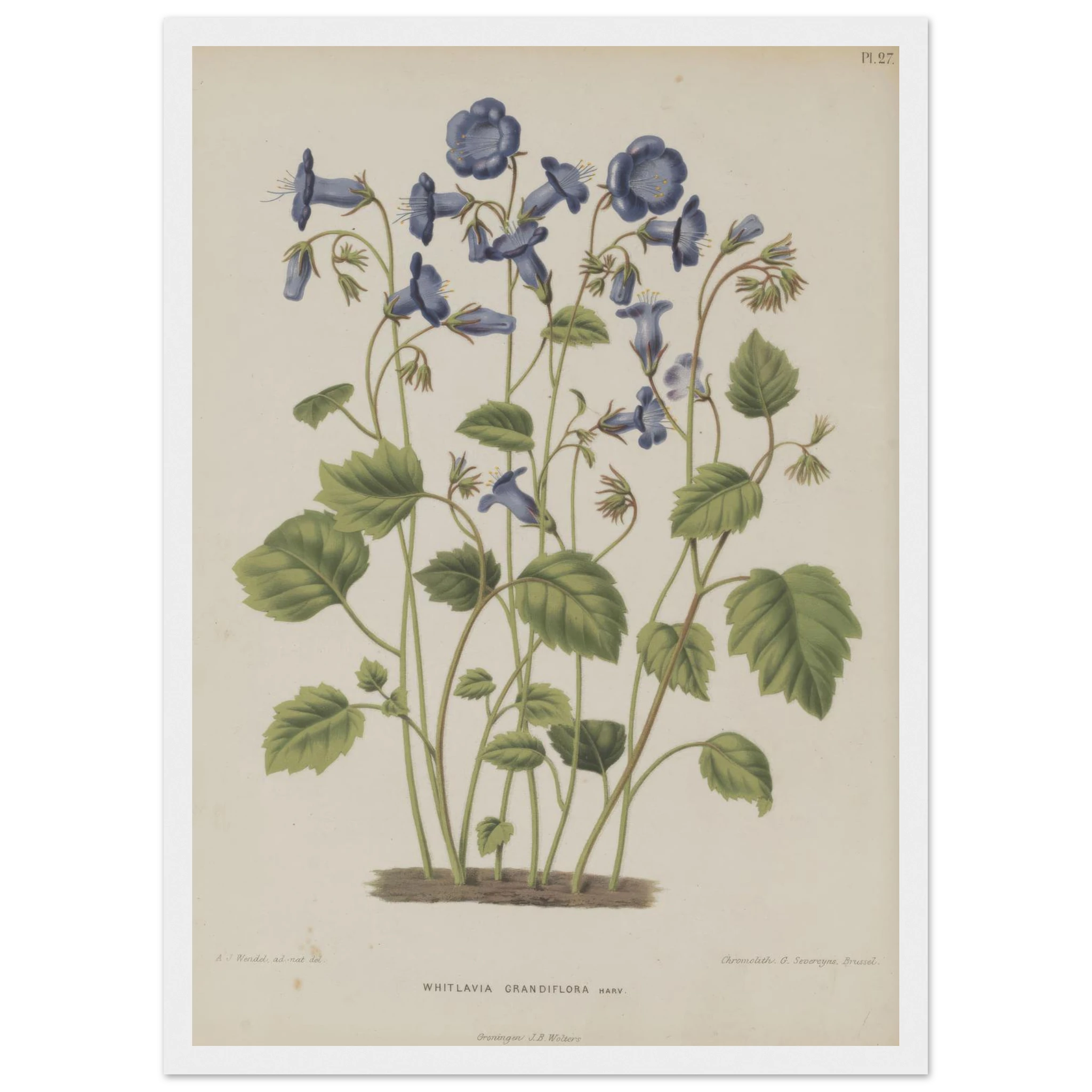 e3b9dbf2-a2d7-48ec-8513-0aa513656941