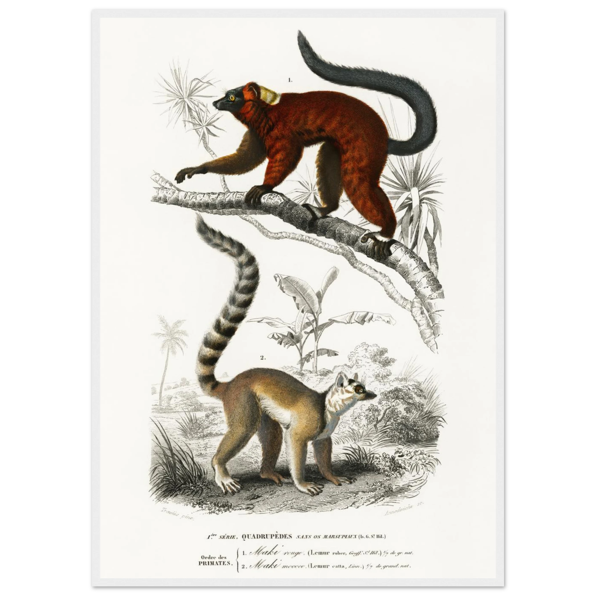 e3e5f939-5c05-42df-af15-062c1583b8da