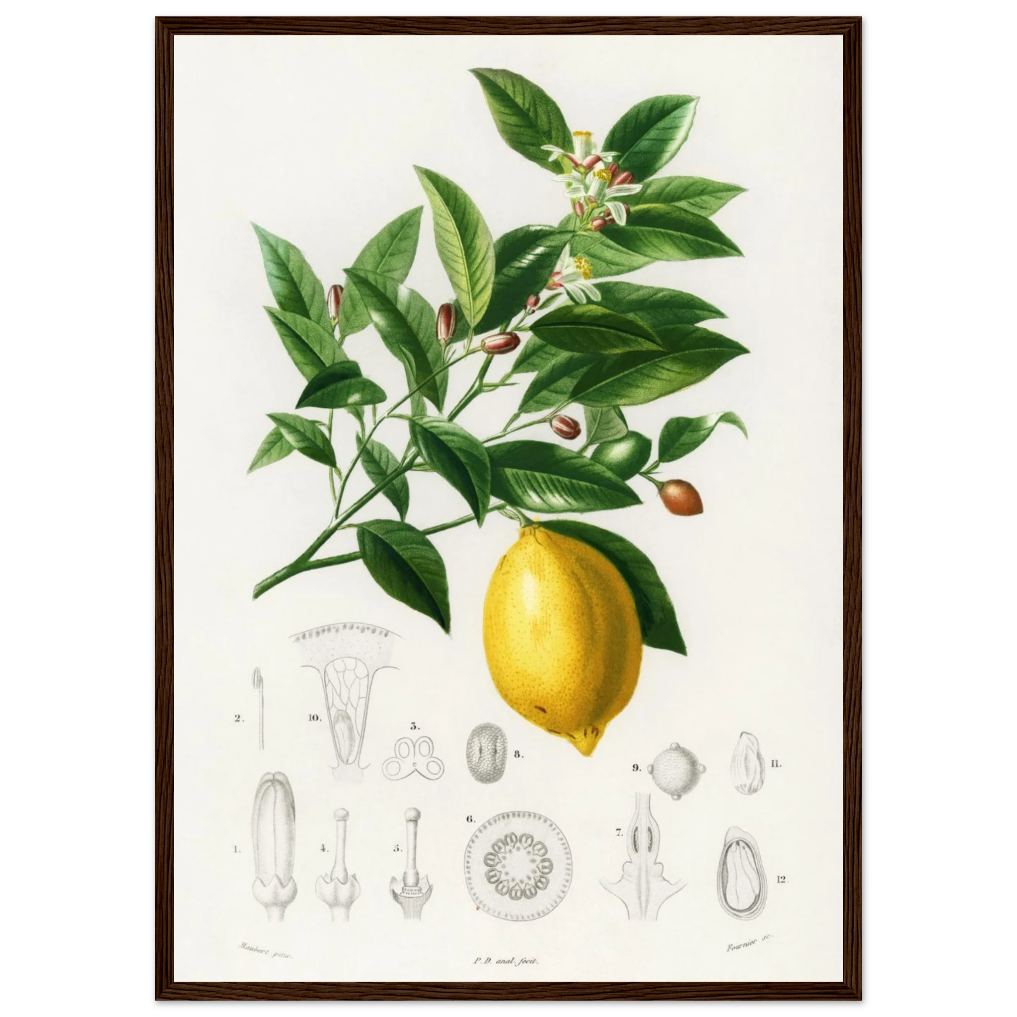 e4196238-0f0c-4c26-bcf5-af796b7884bb