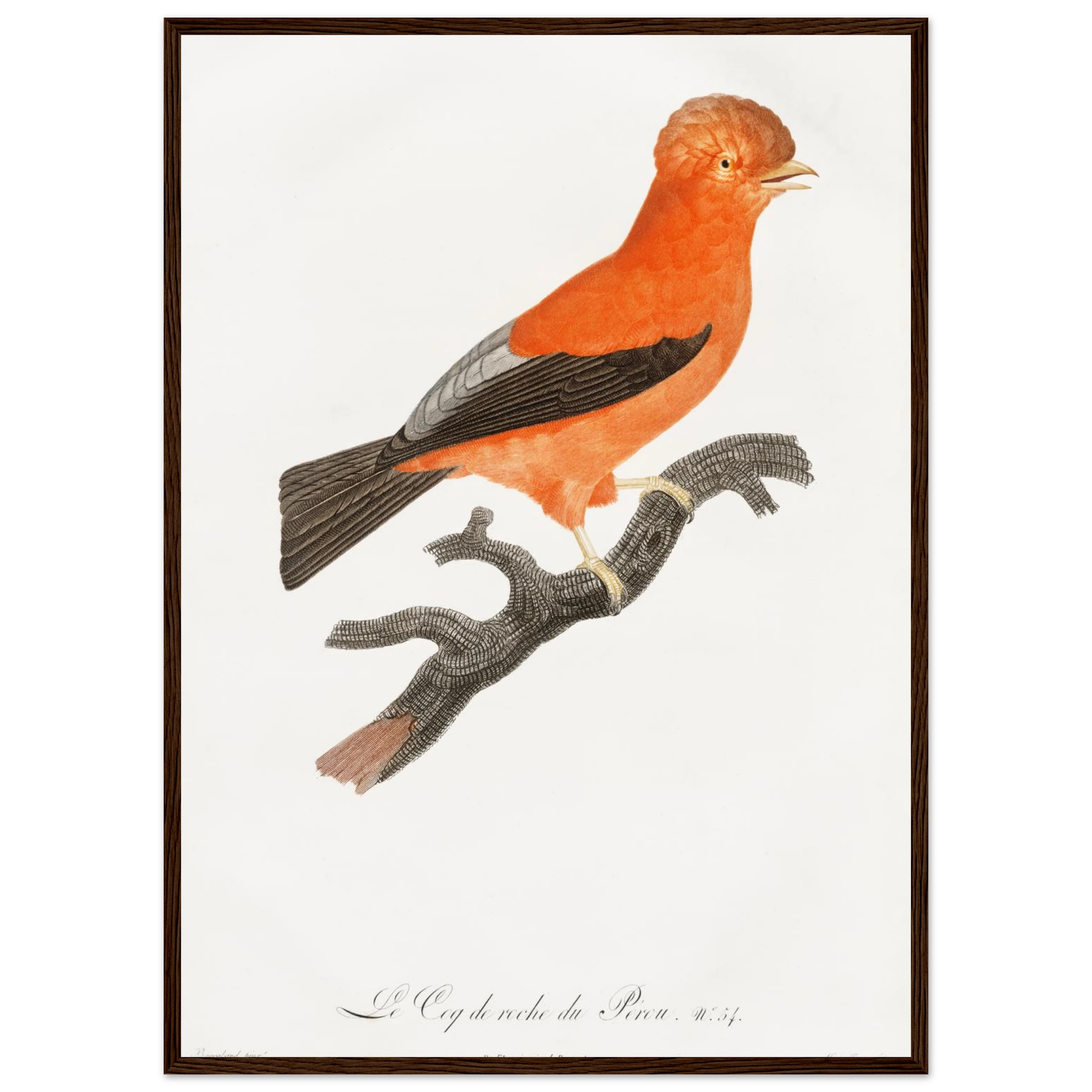 e41d2e2c-70cc-478a-a434-236d6acb1691