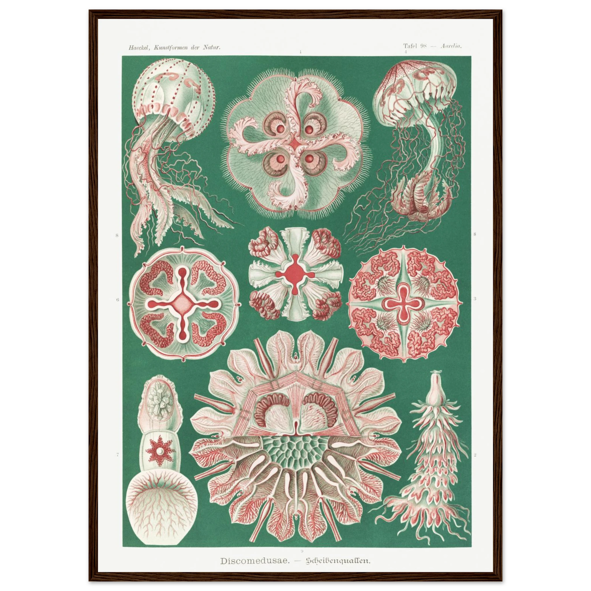 e4406c12-a488-4b7f-8f56-1f443b5910db