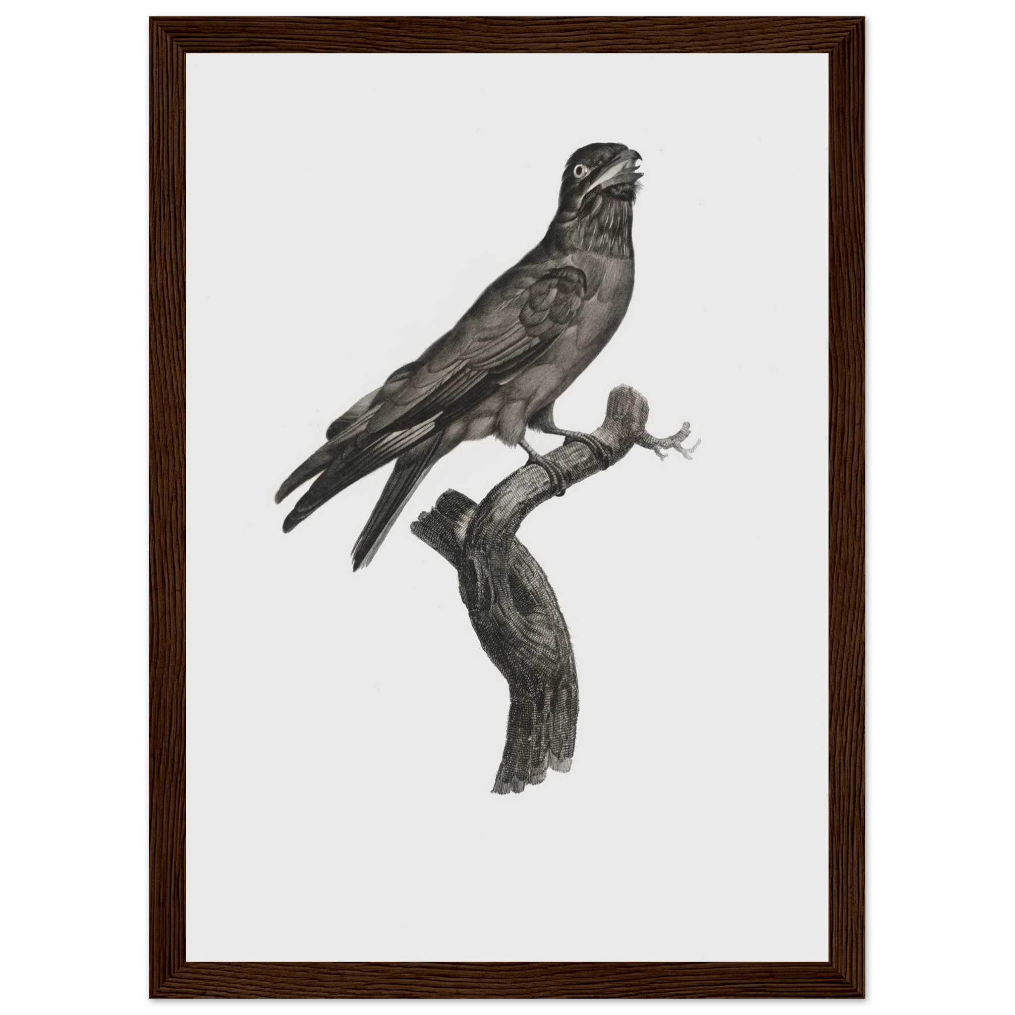 e44da73b-2573-4385-b66d-6e8ac0bdde3b