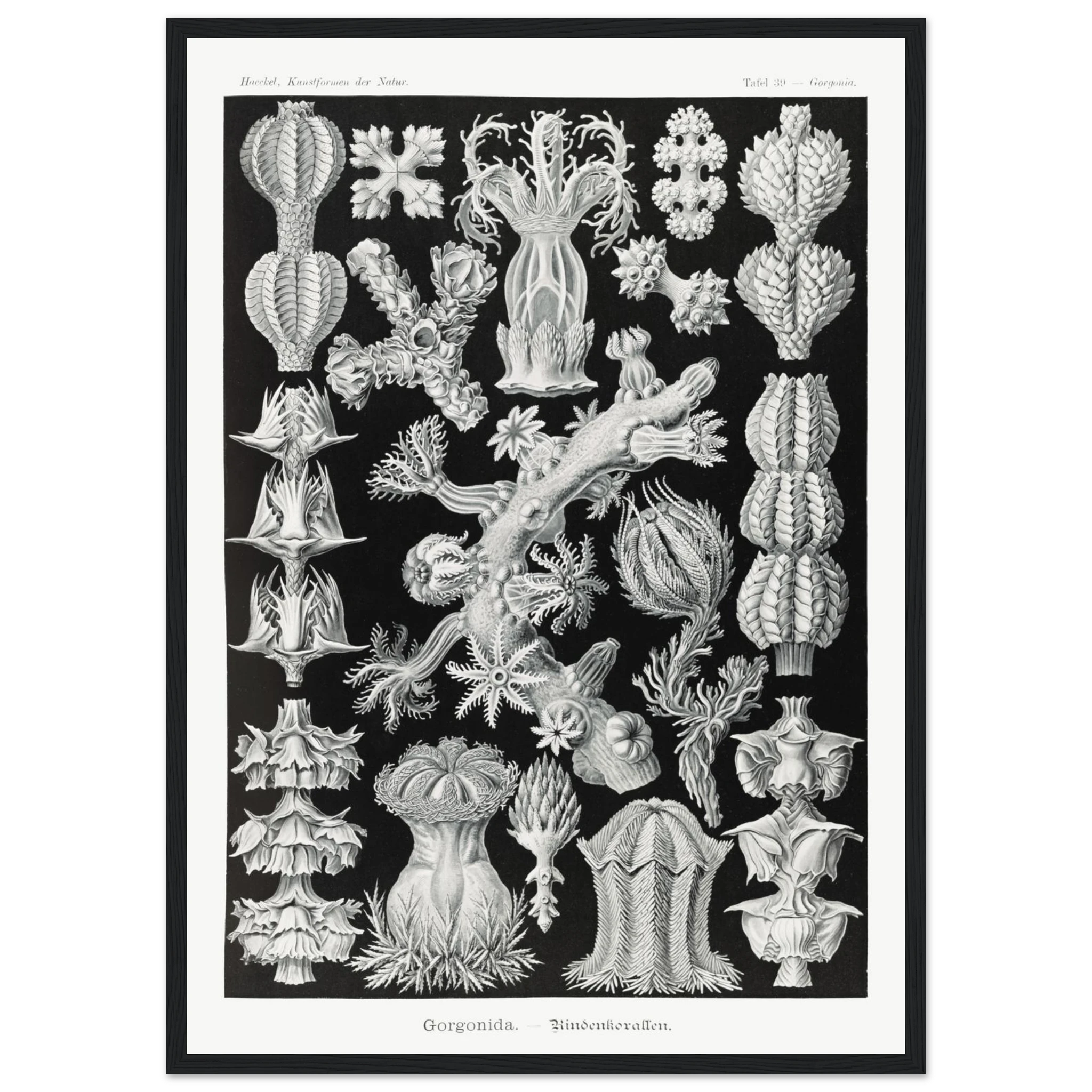 e45e3d51-e210-40fd-8346-9e4974678c46