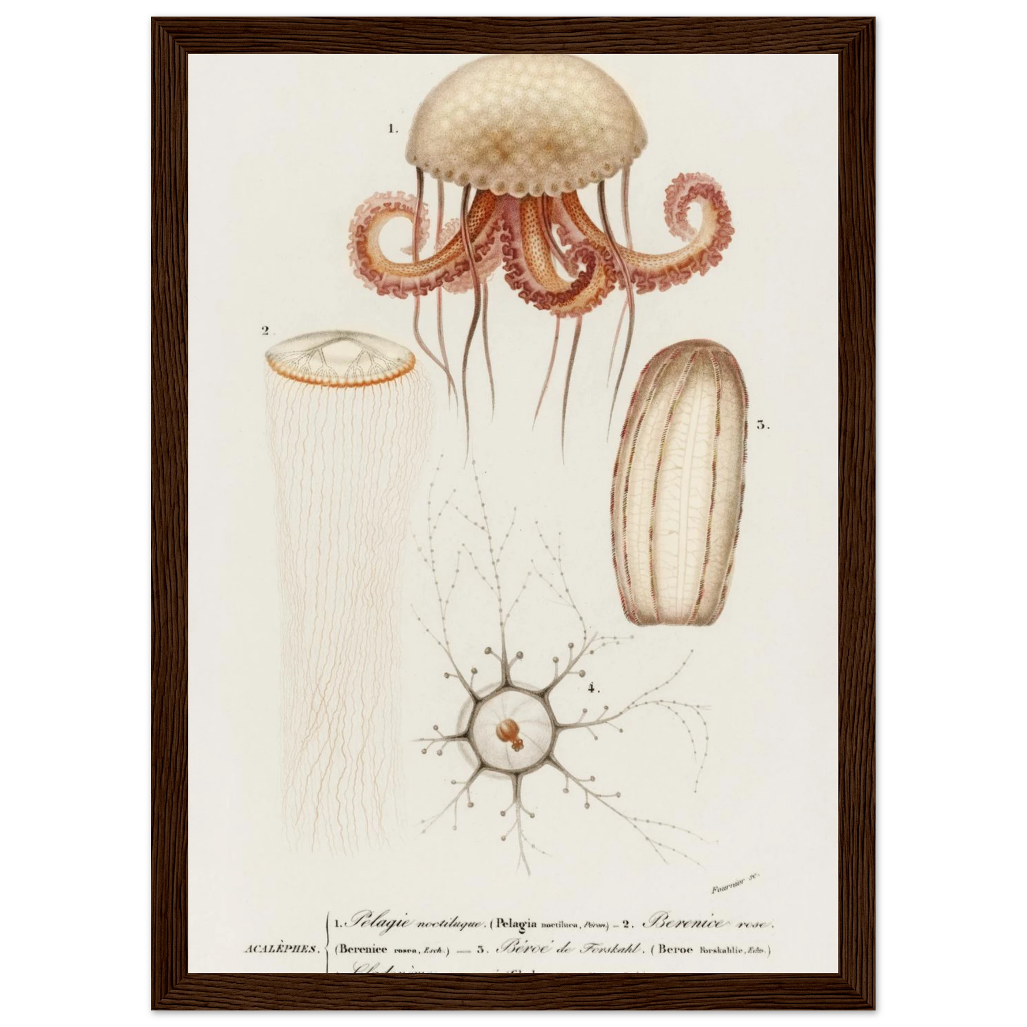 e4931cdc-e7ca-477f-9c99-36e60adb9bab