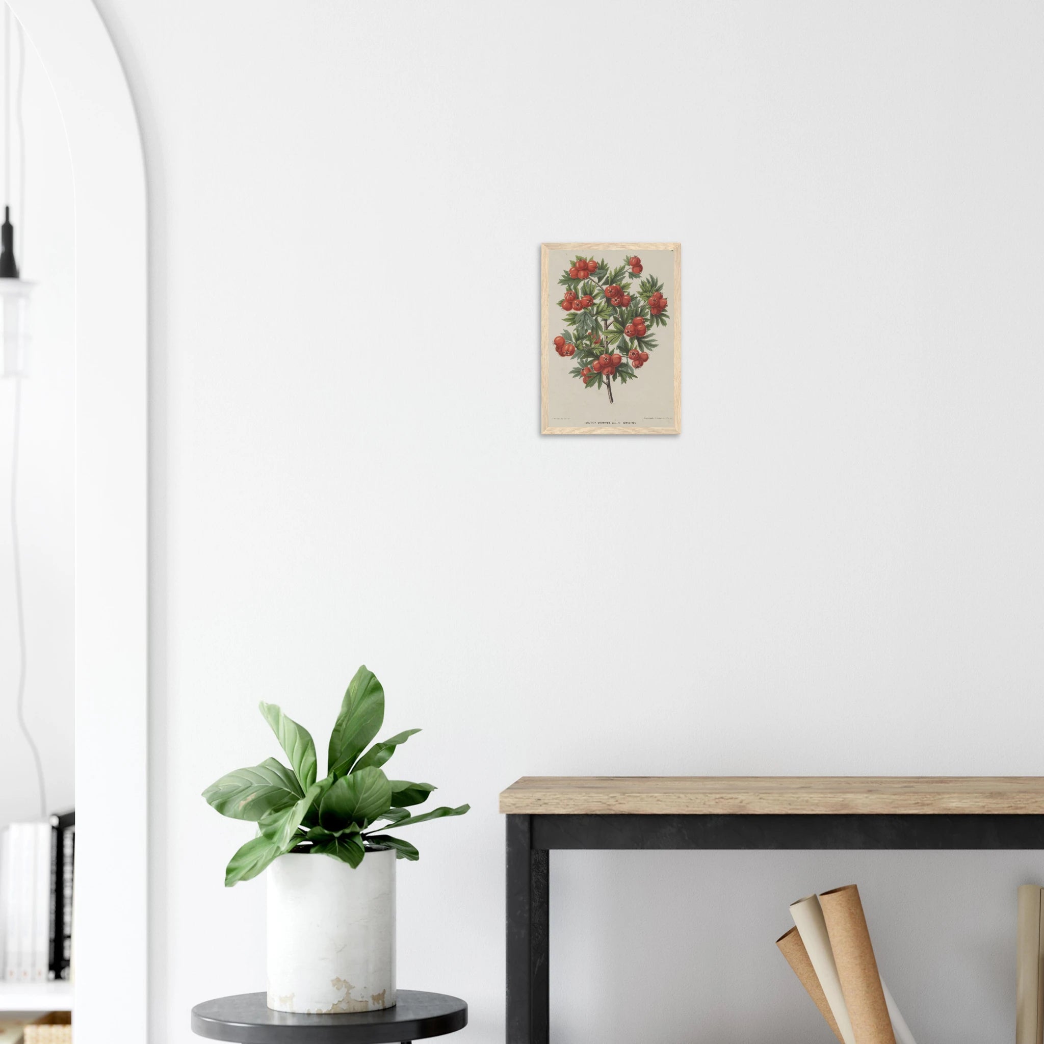 e4d55b83-dc1f-4279-91d4-dc47d8ebd733