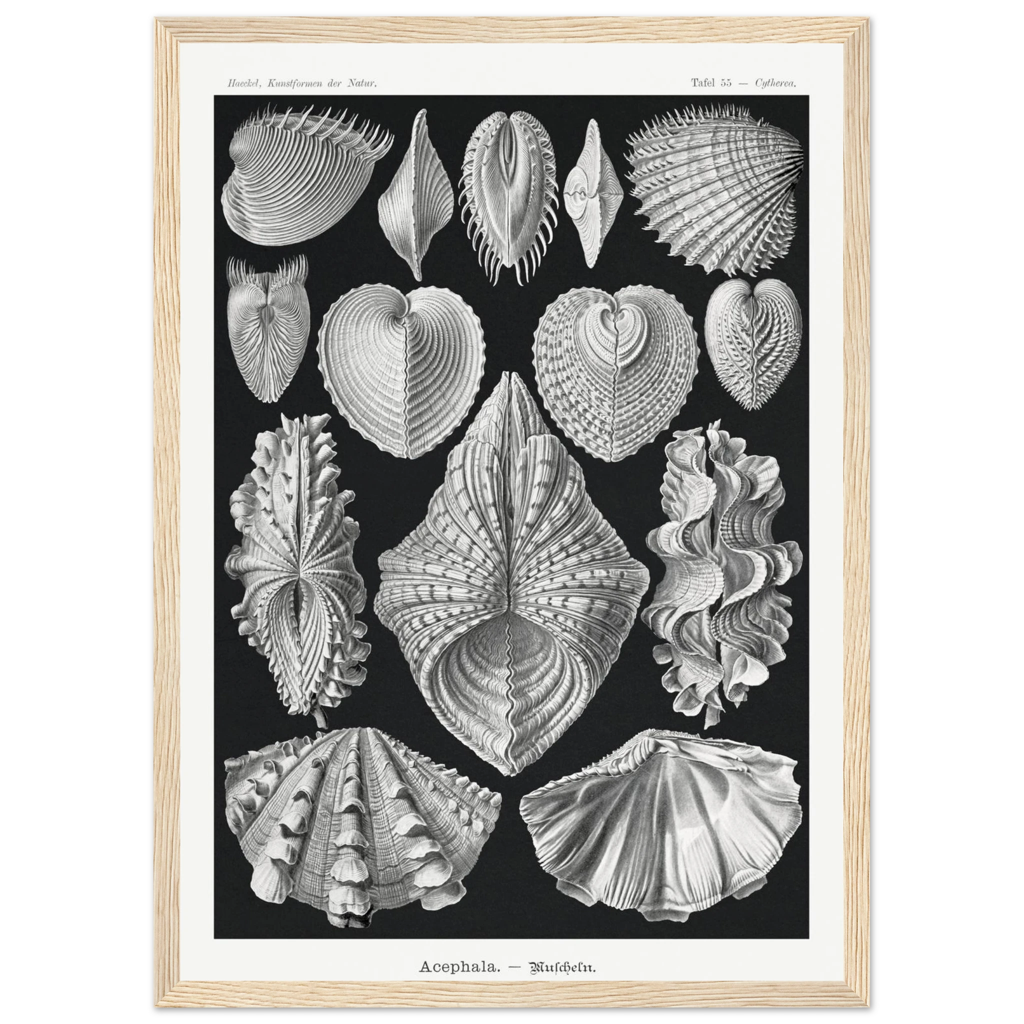 e527b57b-96cd-4db5-ada9-e3cf3ae417bc