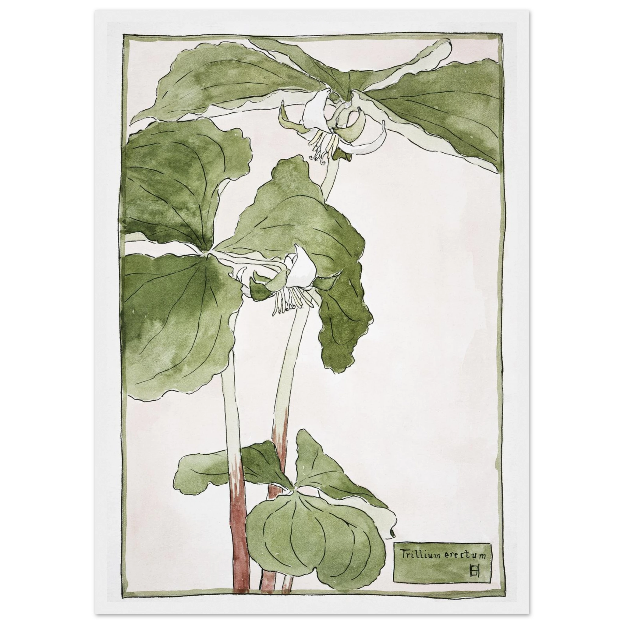 e58f9032-885b-4c2a-adda-12b108a9fca6