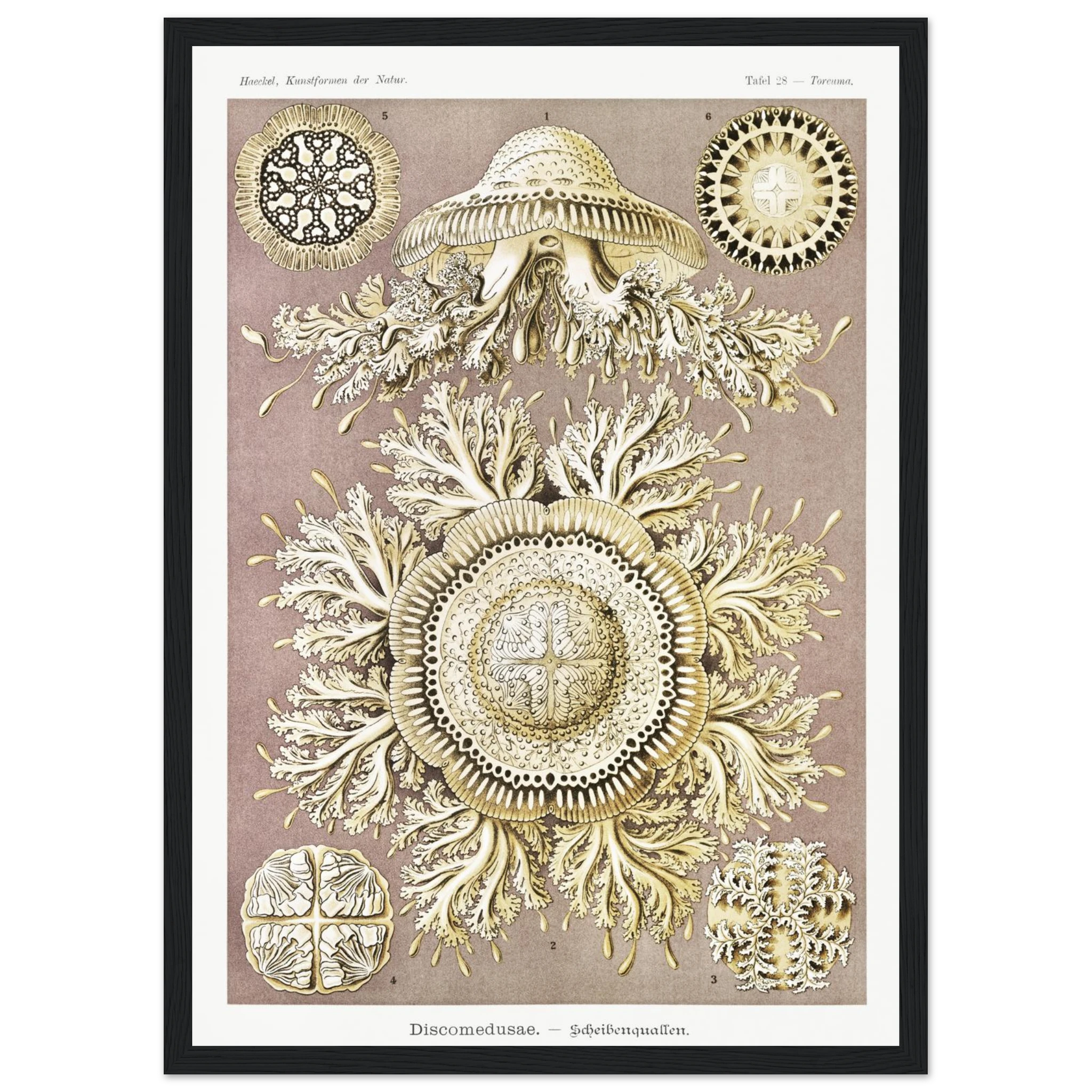 e5a60ed4-7cb4-4b9c-bdaf-a4ea1f1eb6b3