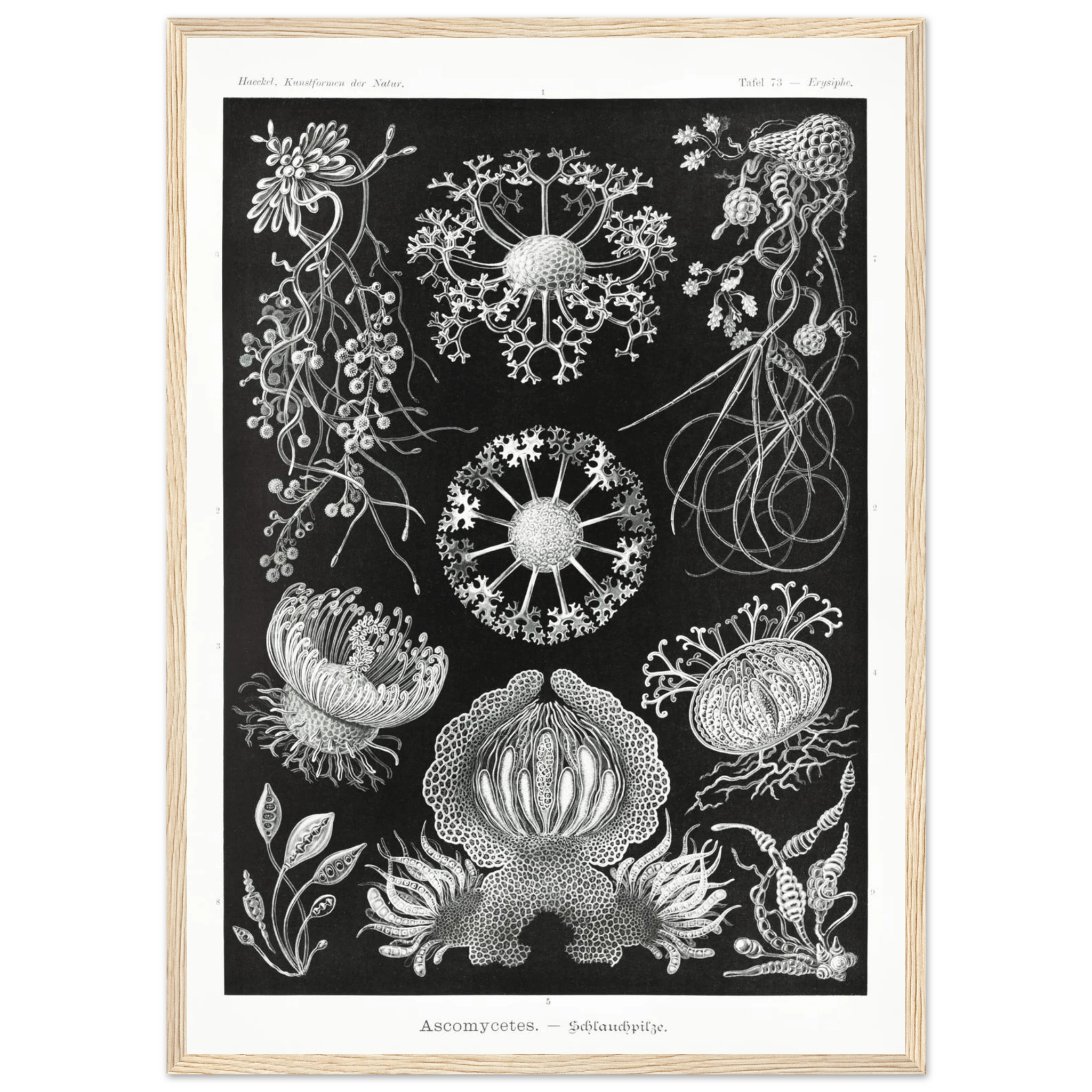 e5d0bca7-73ac-4182-a001-fa175517d09b