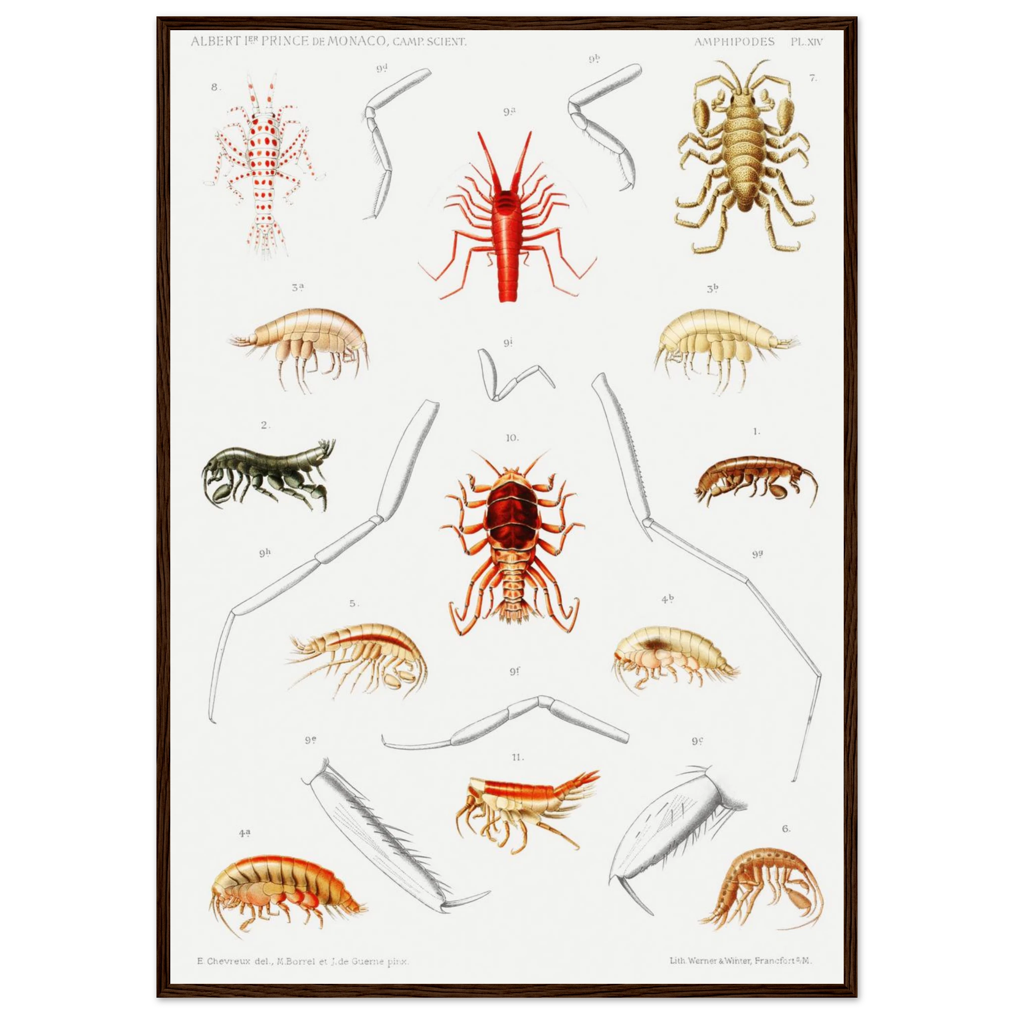 e63bc0e3-f8d5-4e35-8098-fd1201549483