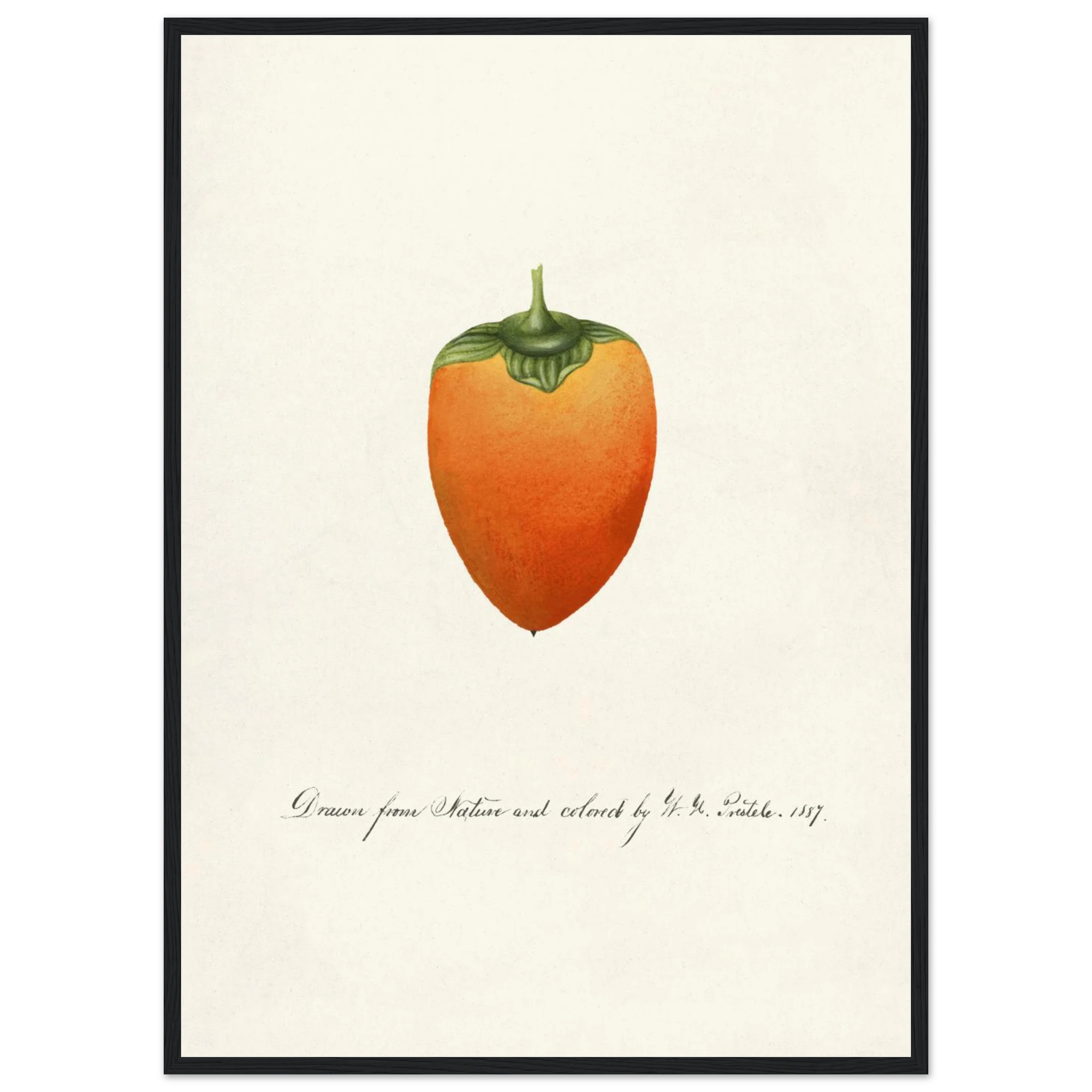 e653c005-69f8-4d87-8635-e98b103bf633