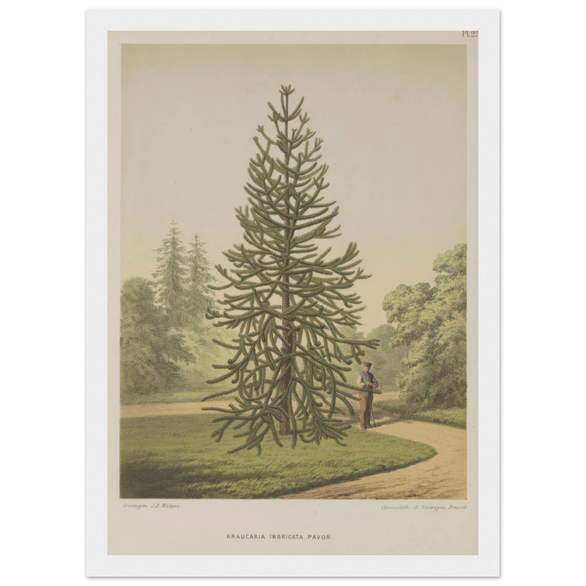 e65de348-b4a3-49b1-b280-695cbcf3e065