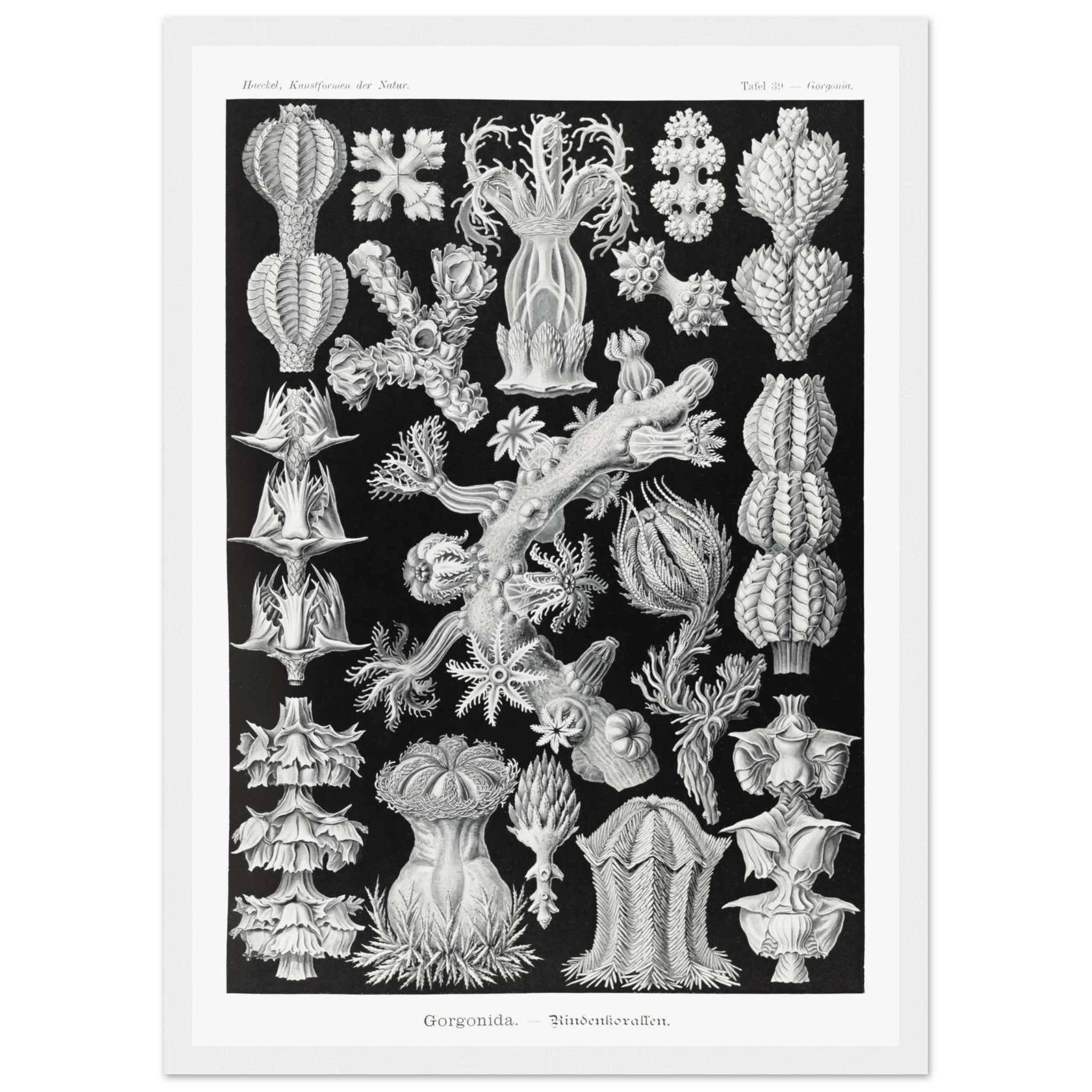 e67a3748-6bf3-4ae9-9d50-8f8bb05301f4