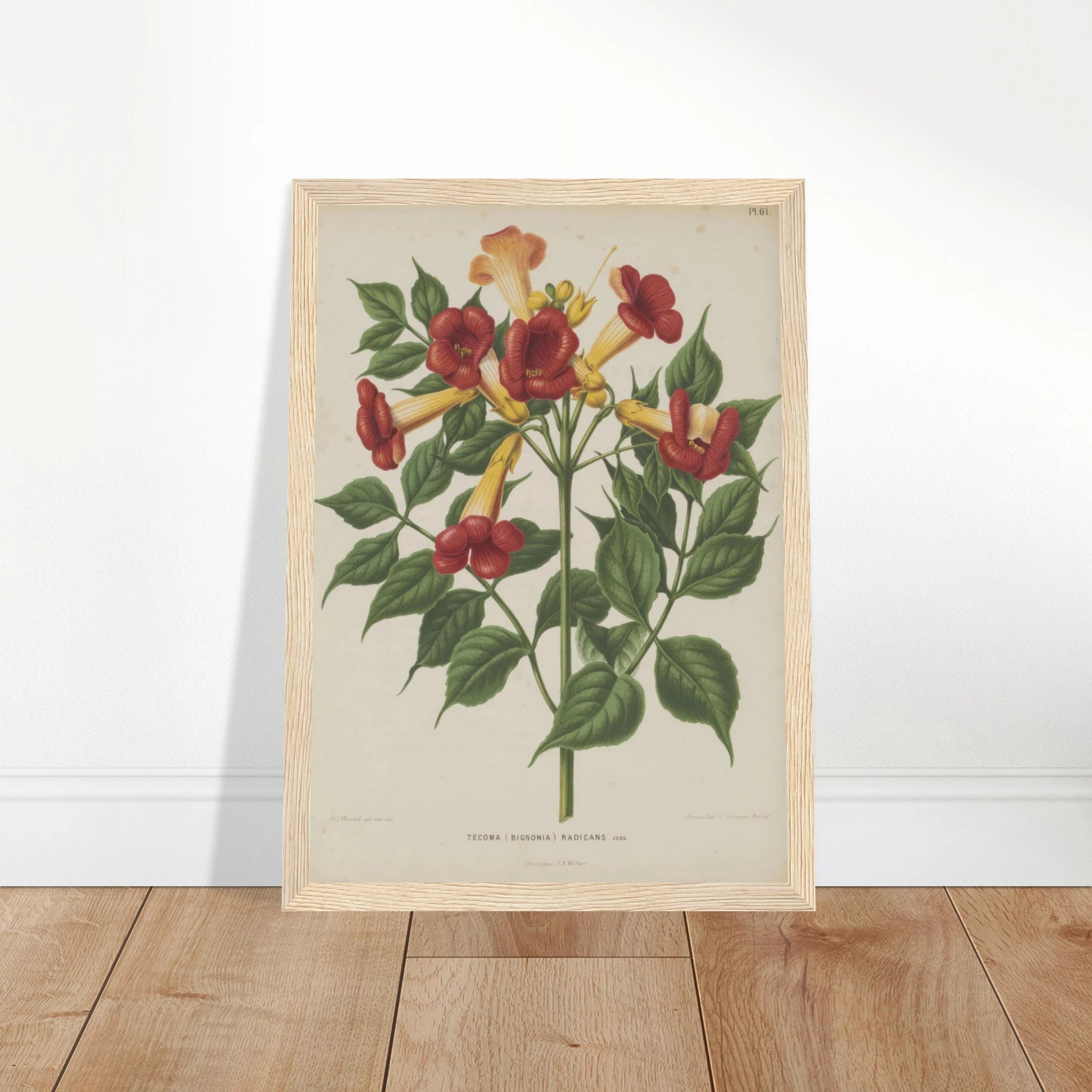 e6affe06-7e4f-41e9-bac6-da22b8a224f3