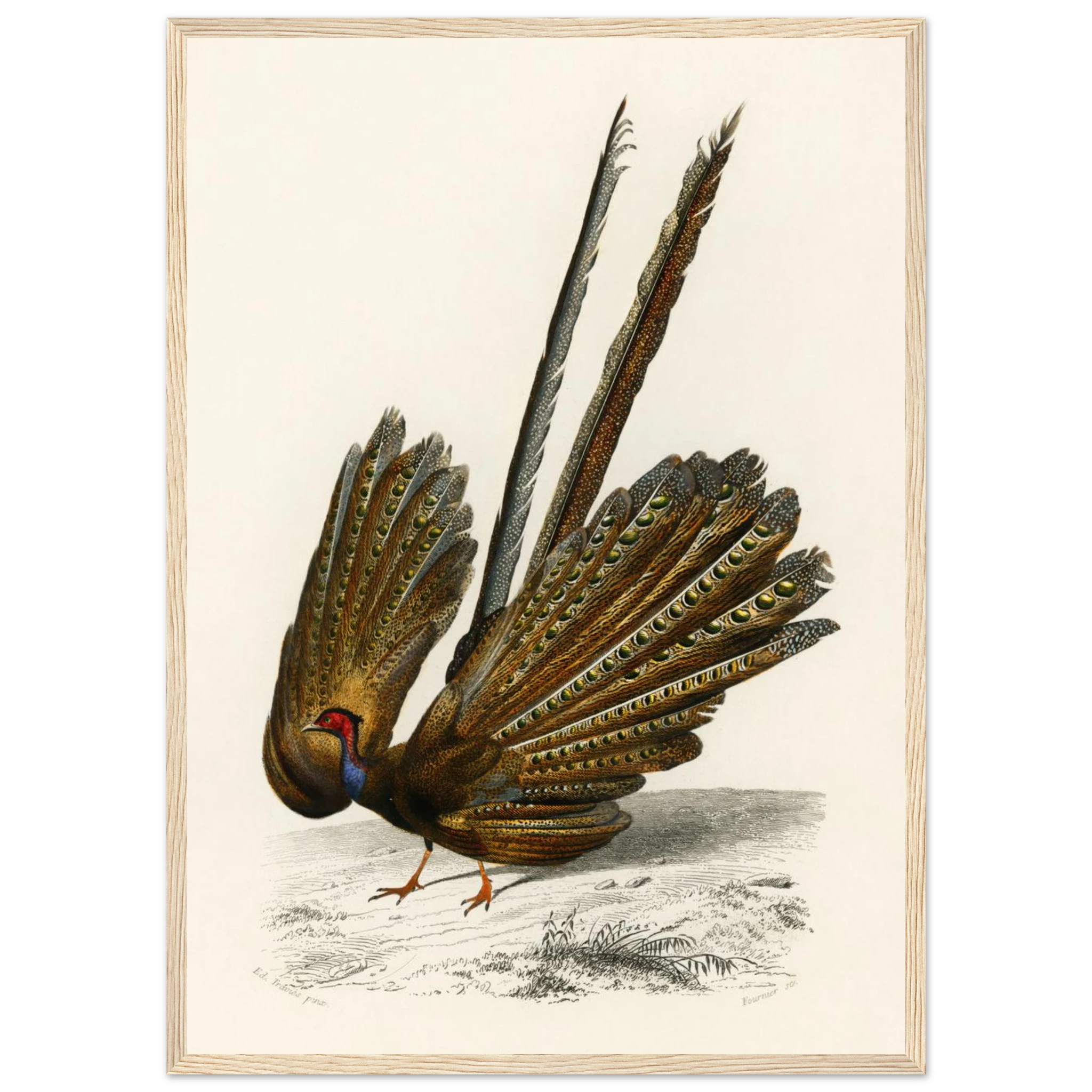 e7106829-d201-4185-9c62-6639fba6b7d0