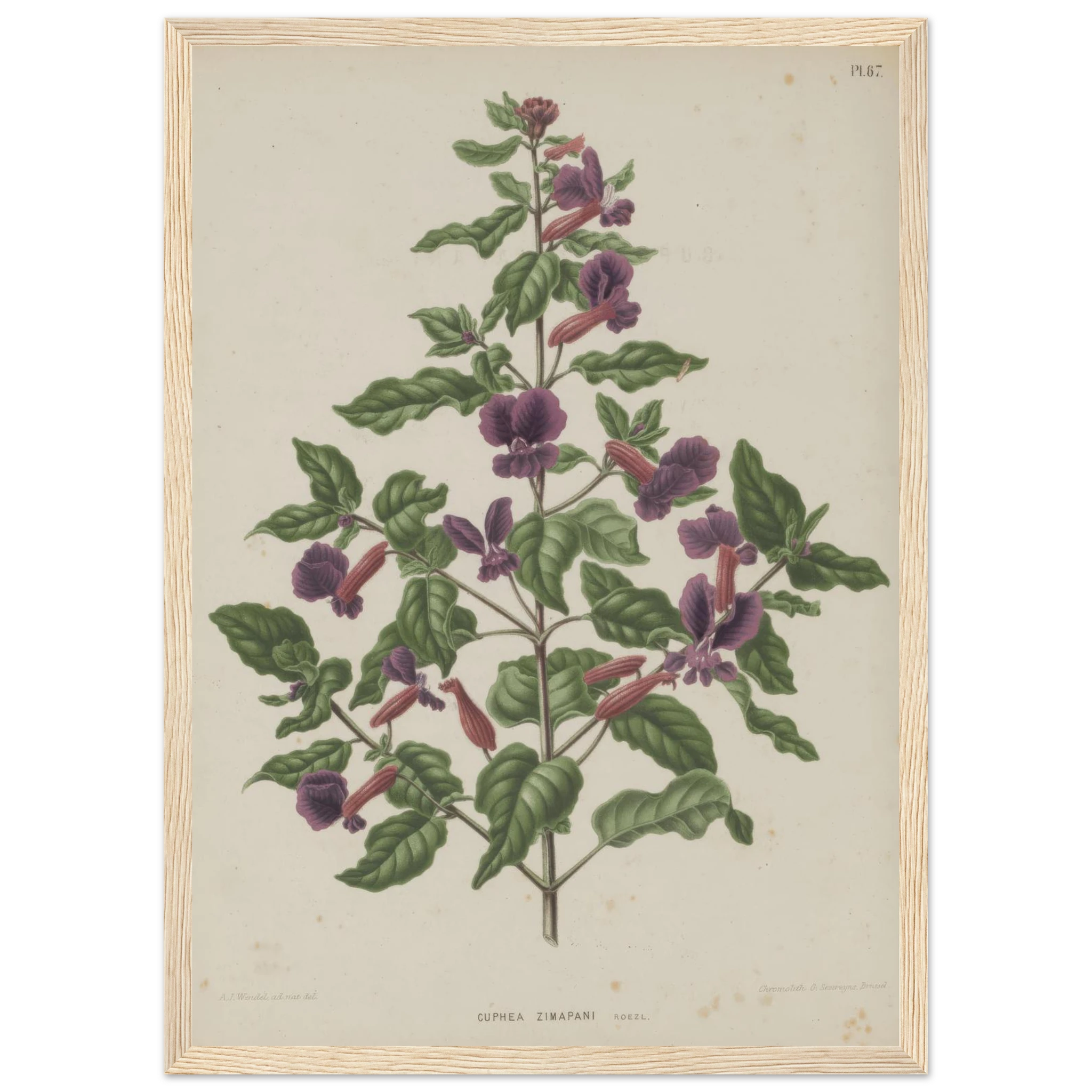 e7169331-22c9-43e7-a763-e7b6a52df4c9