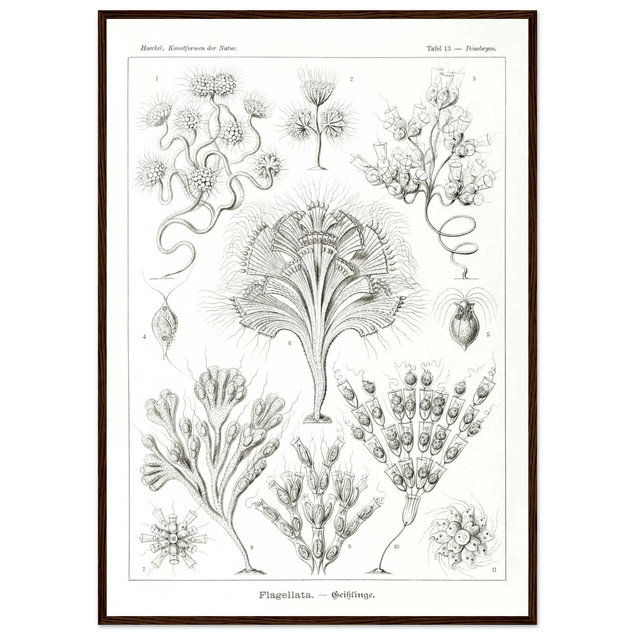 e77c7ddd-344a-49ba-b266-d74321d90532