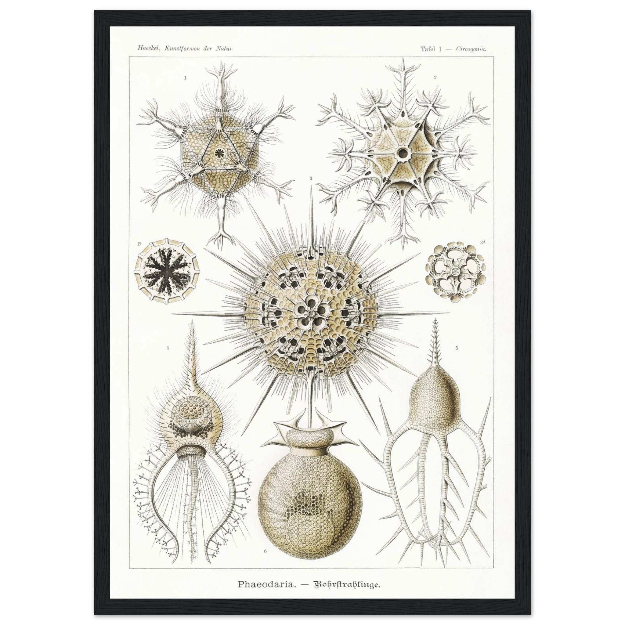 e79be9d3-cd61-4d29-8d53-636013d1108f