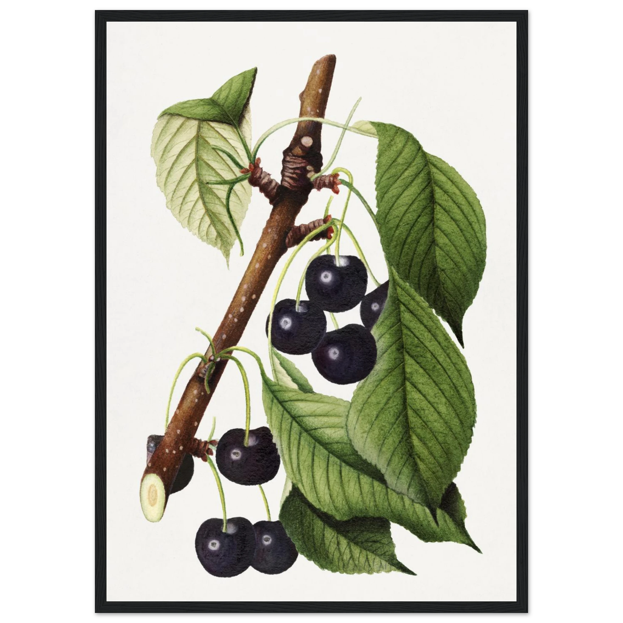 e7f696f1-71b6-476f-afa2-20d6f7f7420f