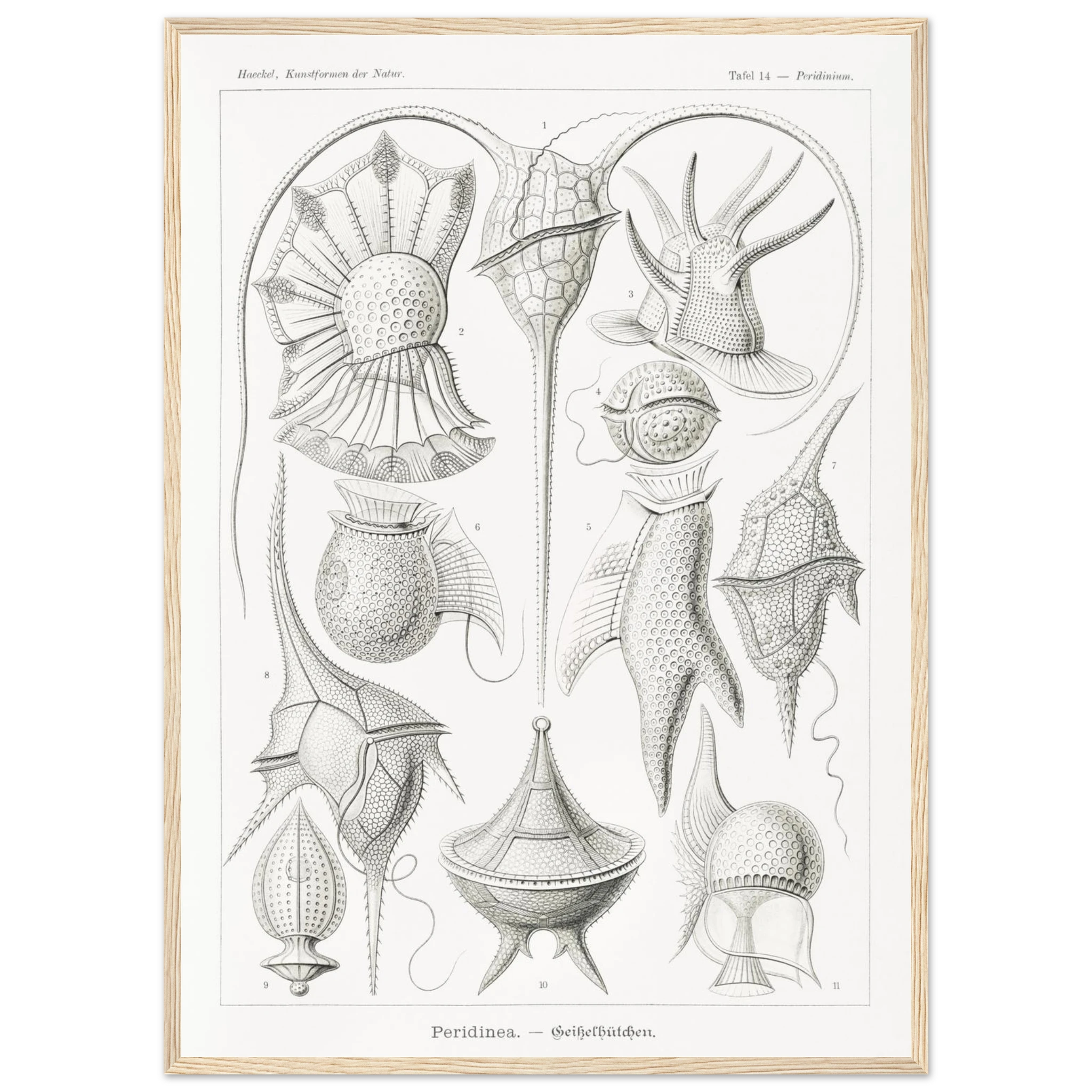 e8000133-8e0c-4113-b469-0982fb245dd7