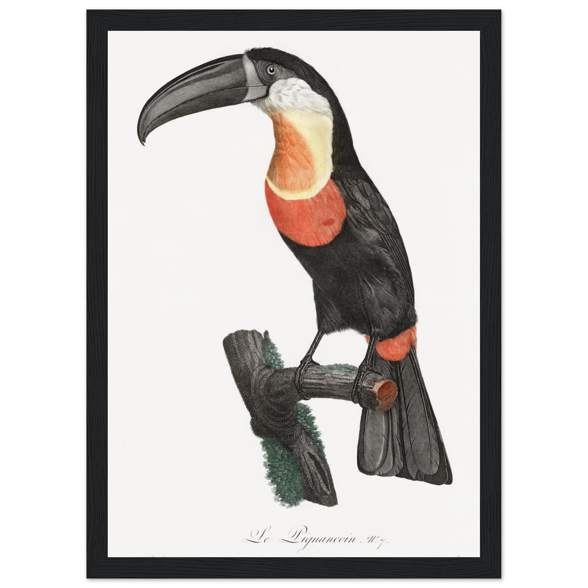 e814f641-897e-4334-9ba0-07ecdf120ac7