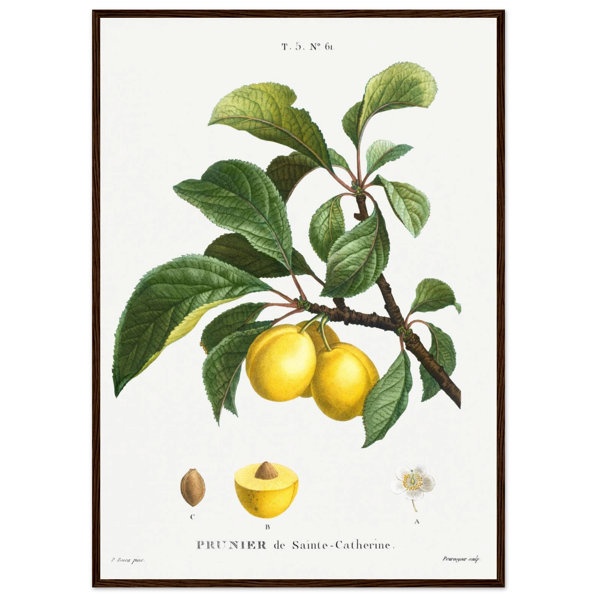 e837dece-e1bb-4b19-a1e7-4c2329478bd3