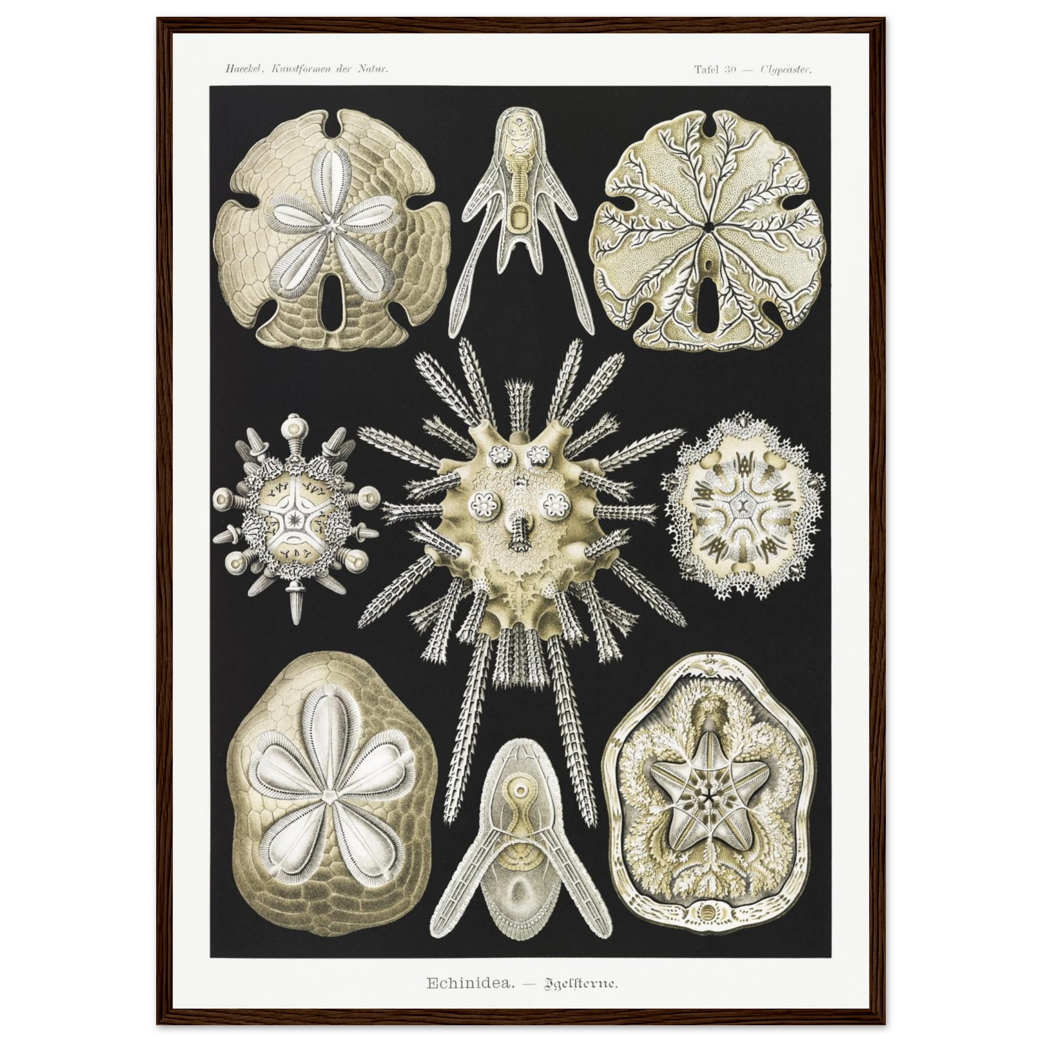 e8649706-846b-4474-a534-31e7ff89e2a2