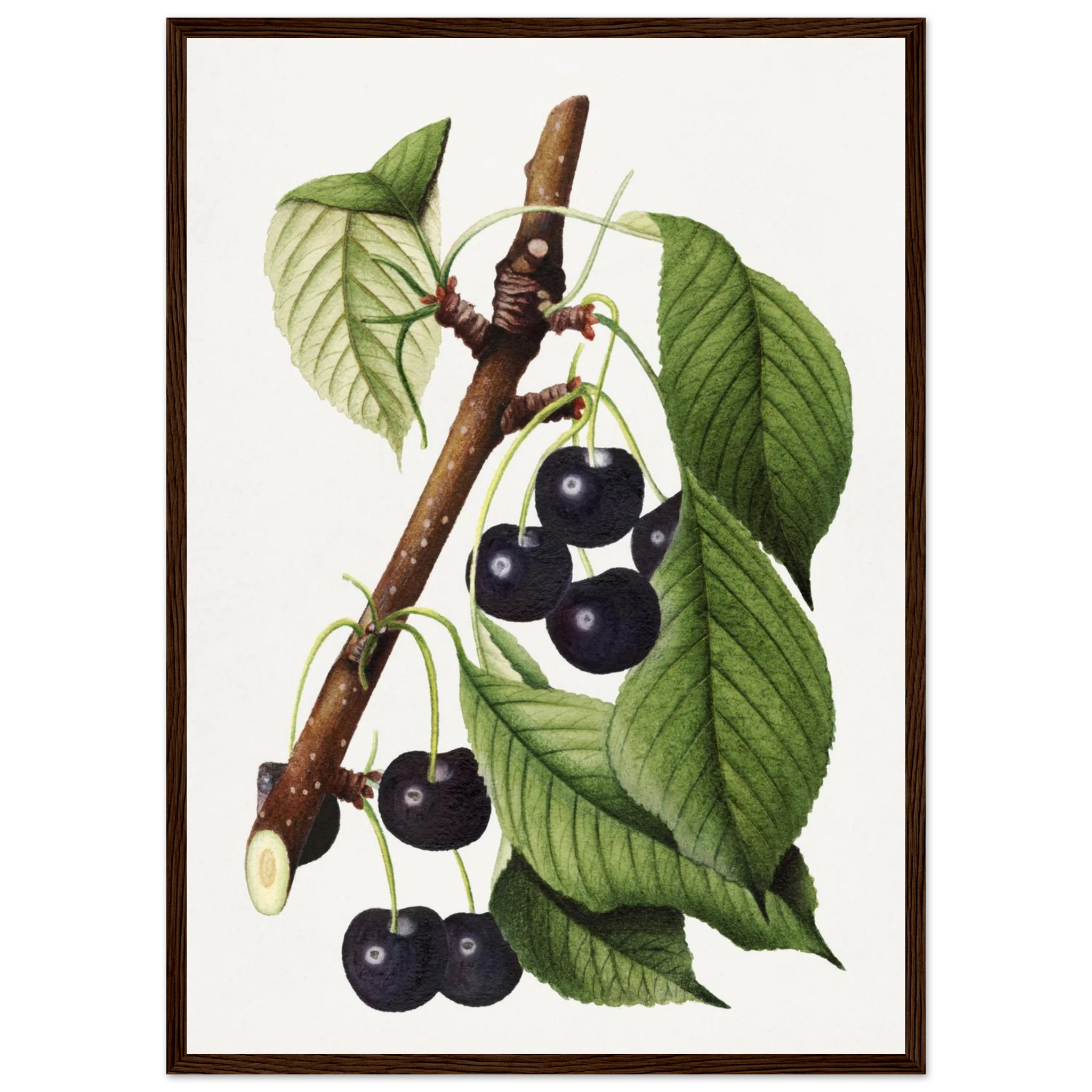 e866c7d4-cc3f-4786-a0e6-66b30bc7fc67