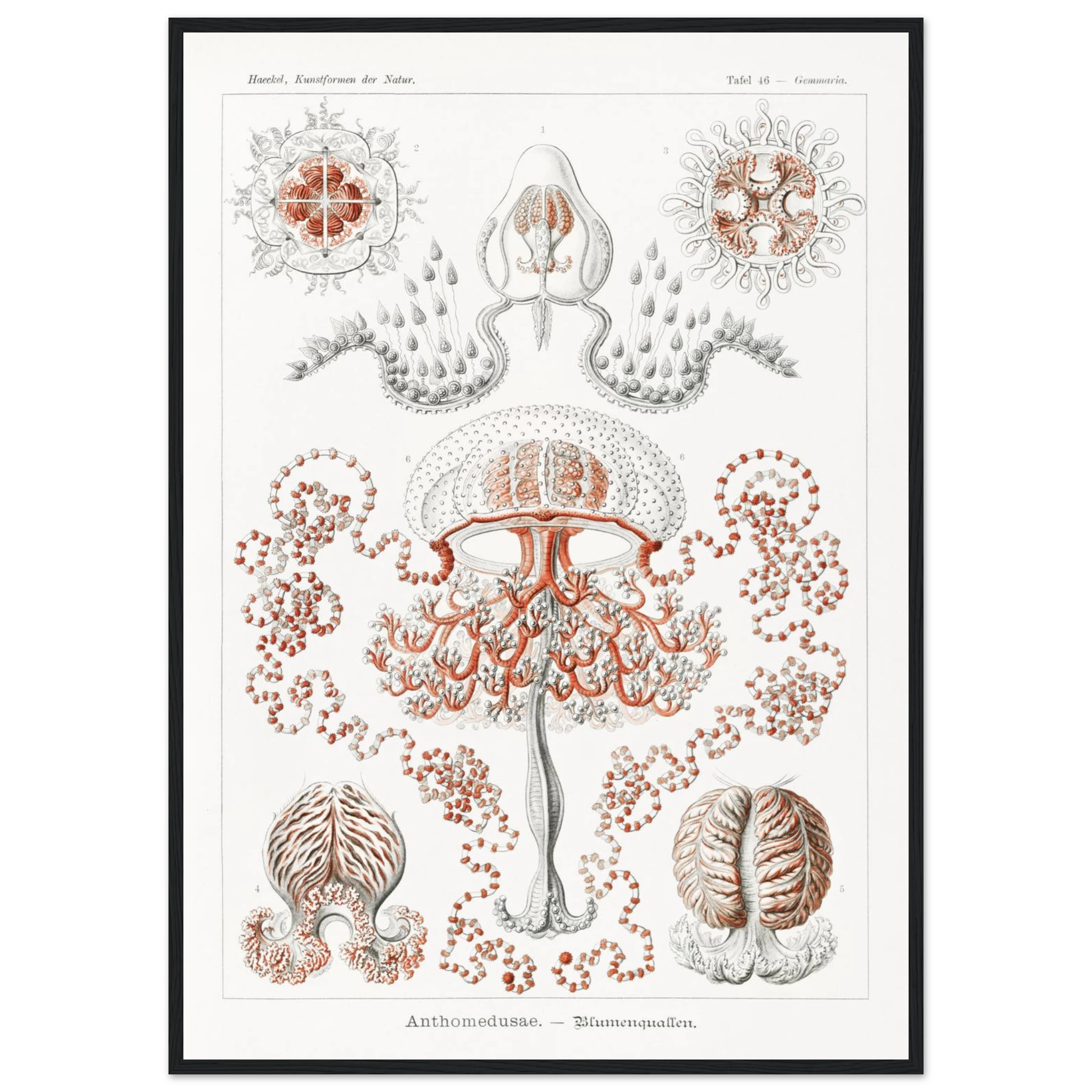 e87d77b1-c8bf-4616-b7e1-493a5205ca83