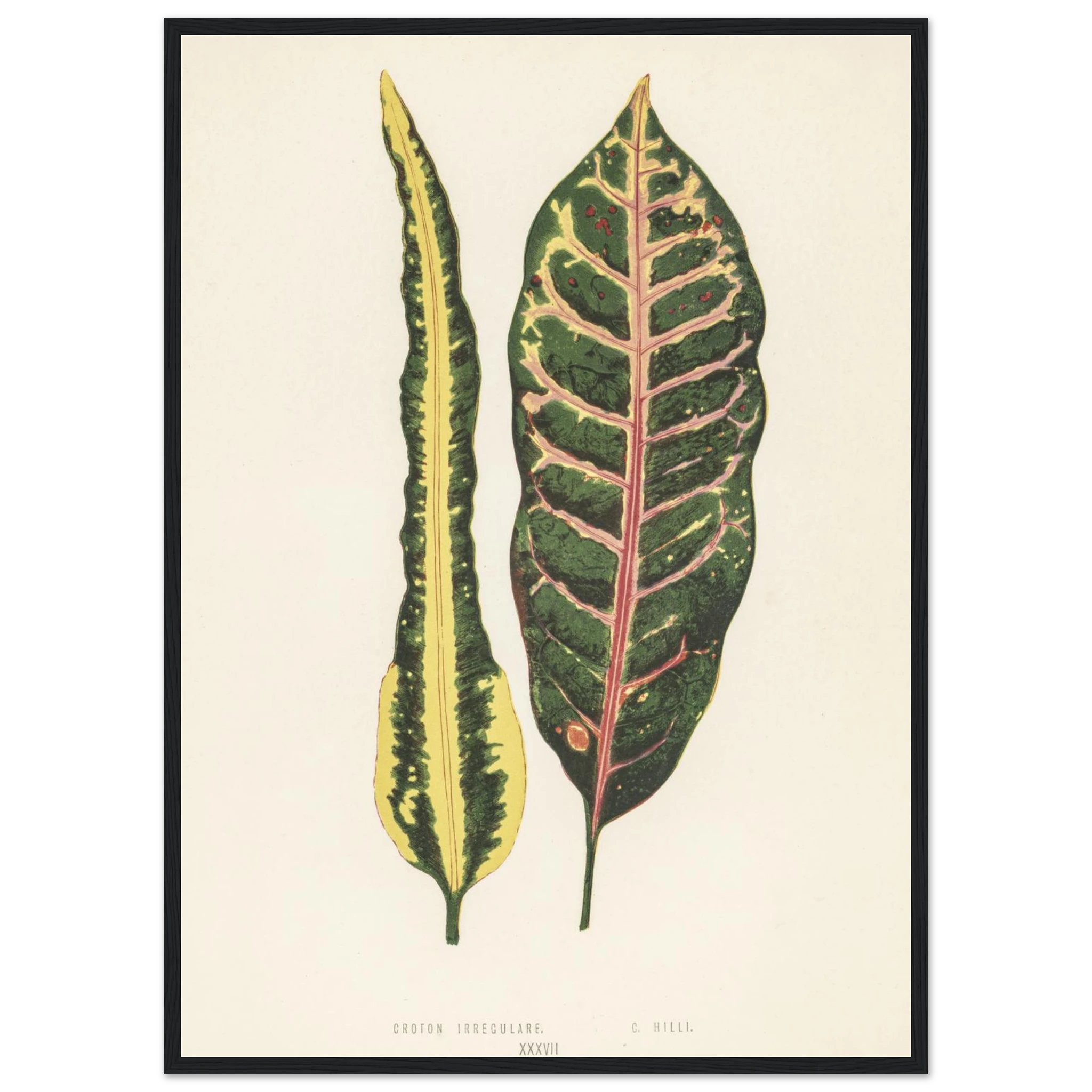 e8c8ad8d-1435-40f9-87dd-9bd83877c498