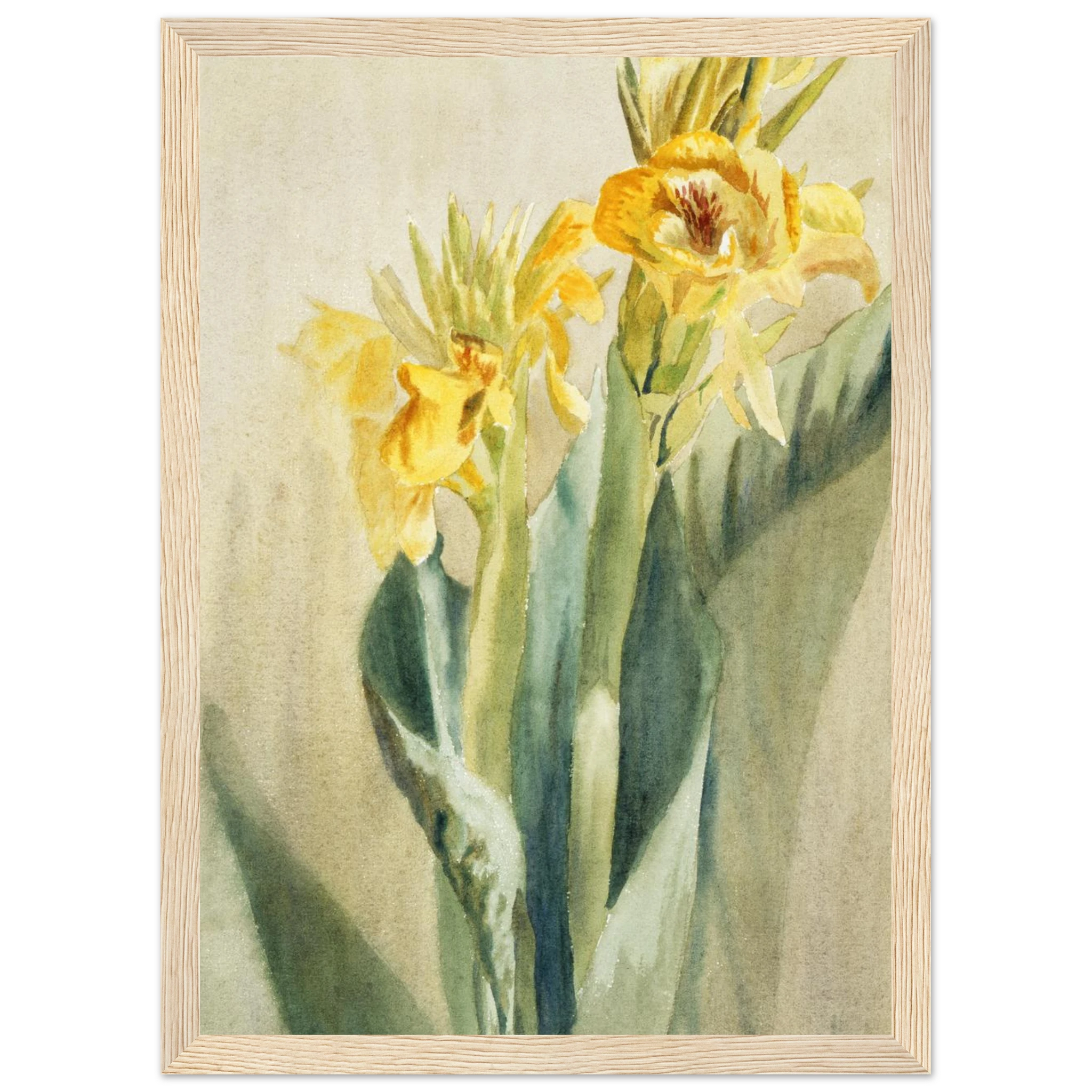 e8d85b6a-2944-43a0-8fab-ae7438fdd896