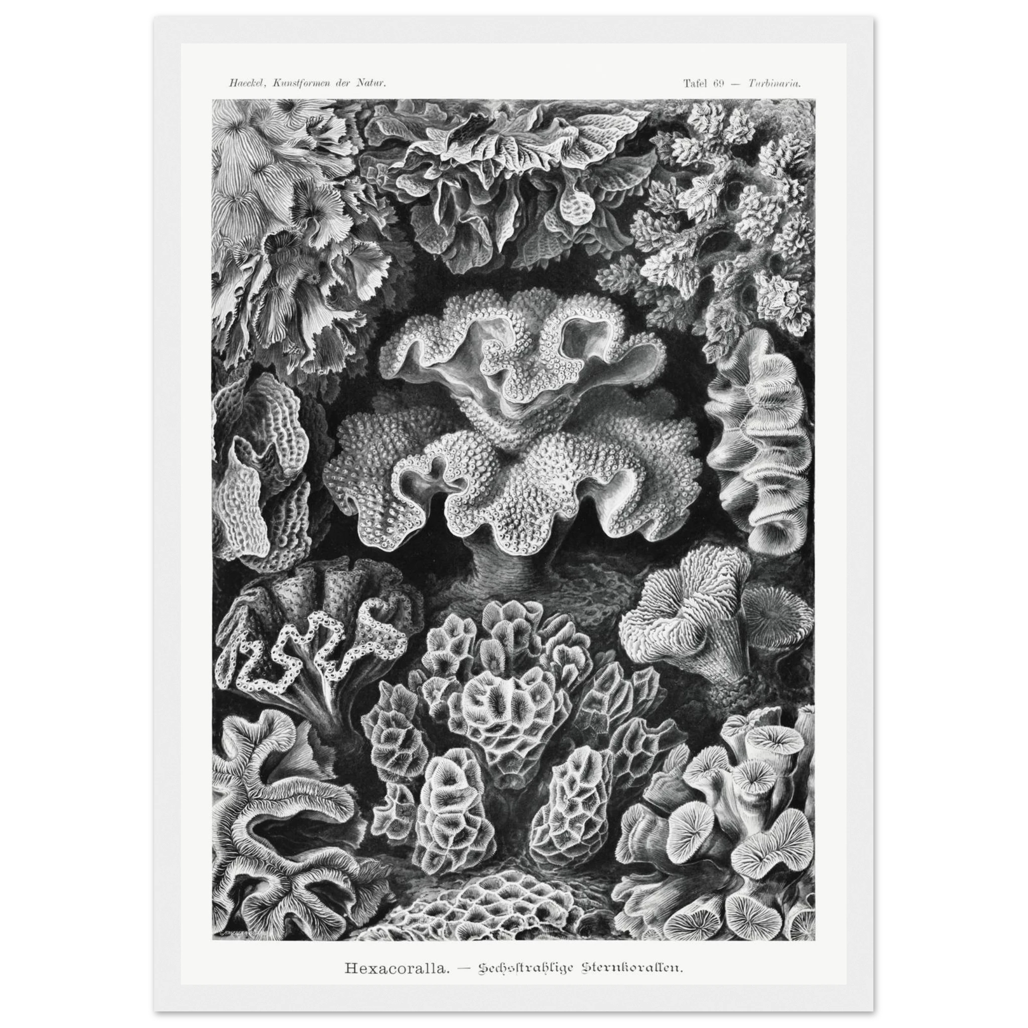 e90b9656-dbe6-408d-be1a-2815f7e49abd