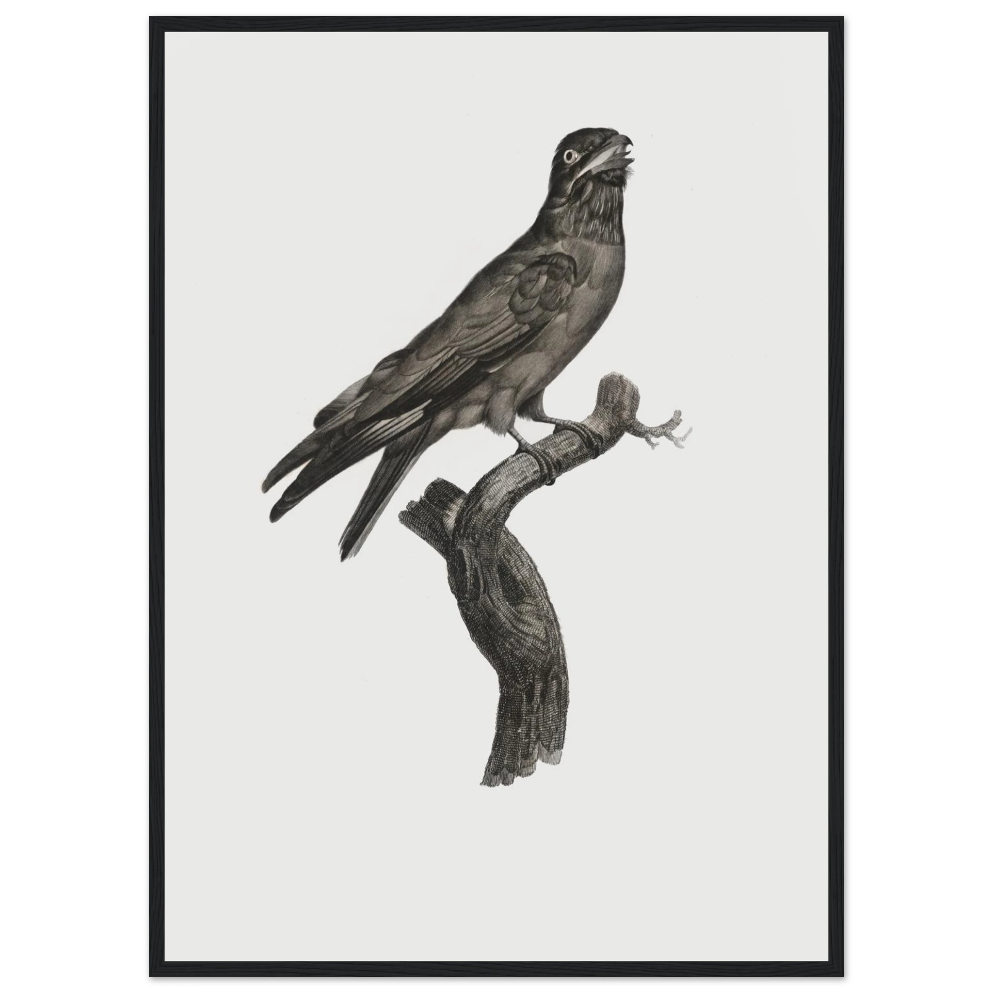 e92a0a75-336d-4366-ac96-2d0823a841fe