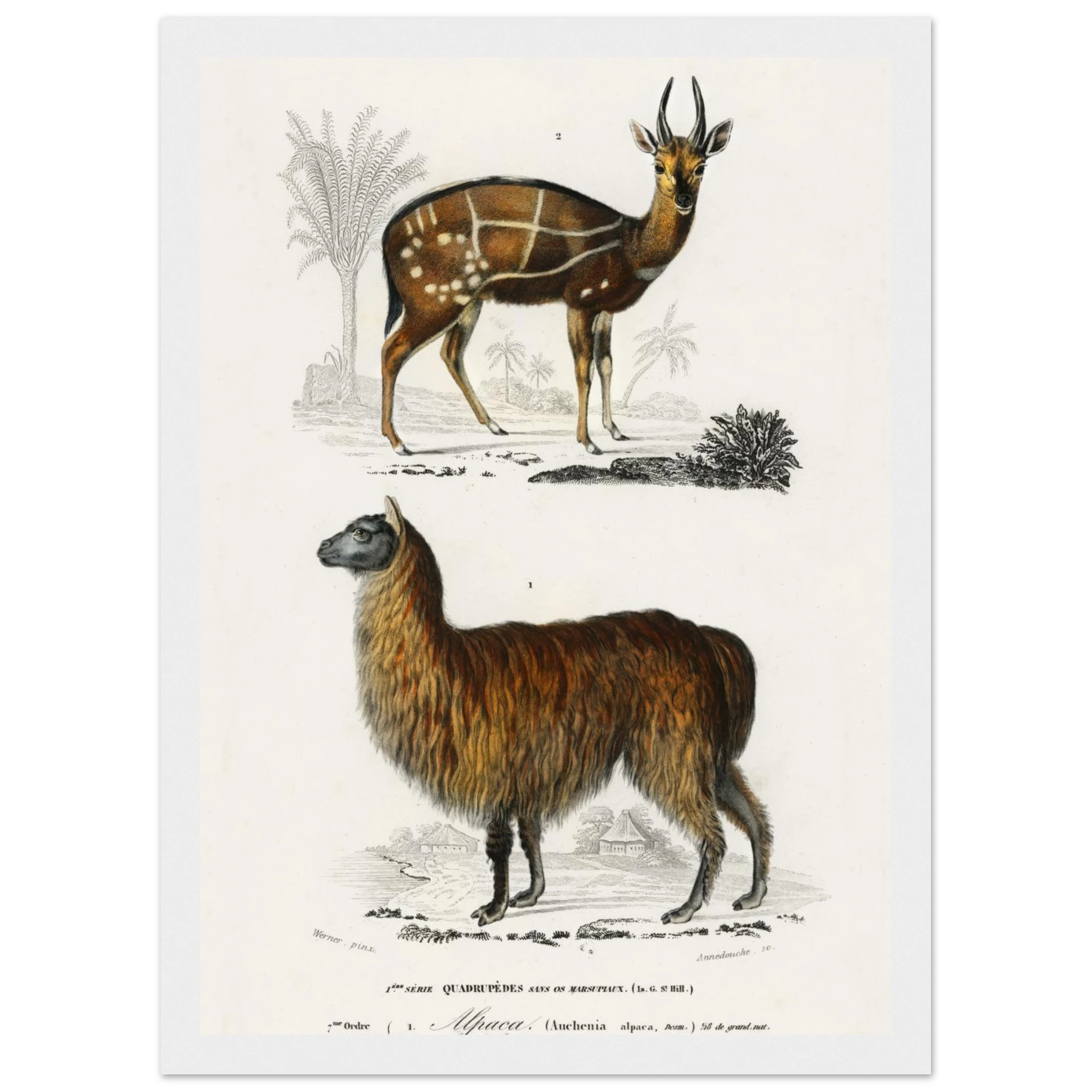 e92ac4a5-3afe-4301-b7b4-94be44e760fe