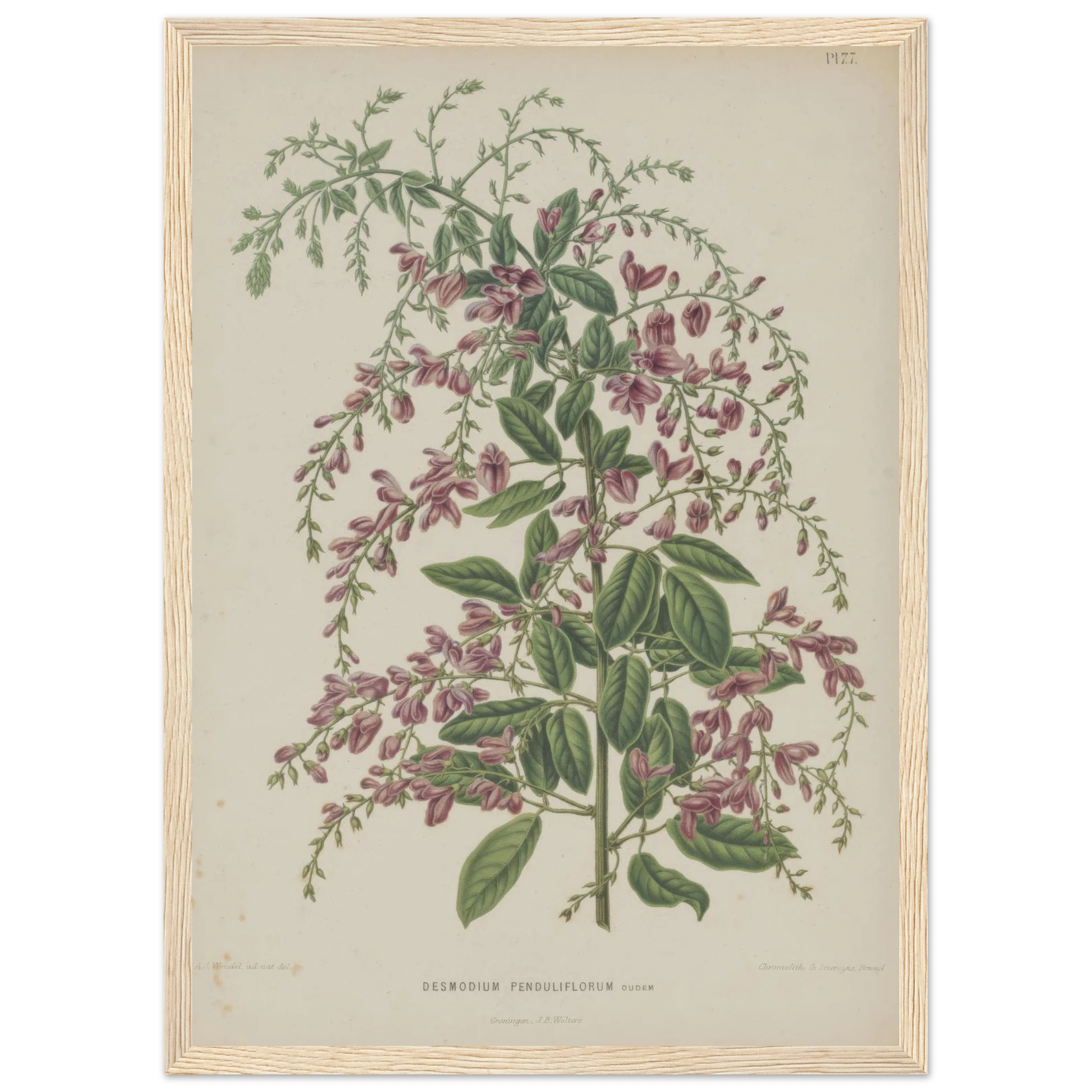 e943b69f-585f-4f4a-bb3c-1eff803d55c9