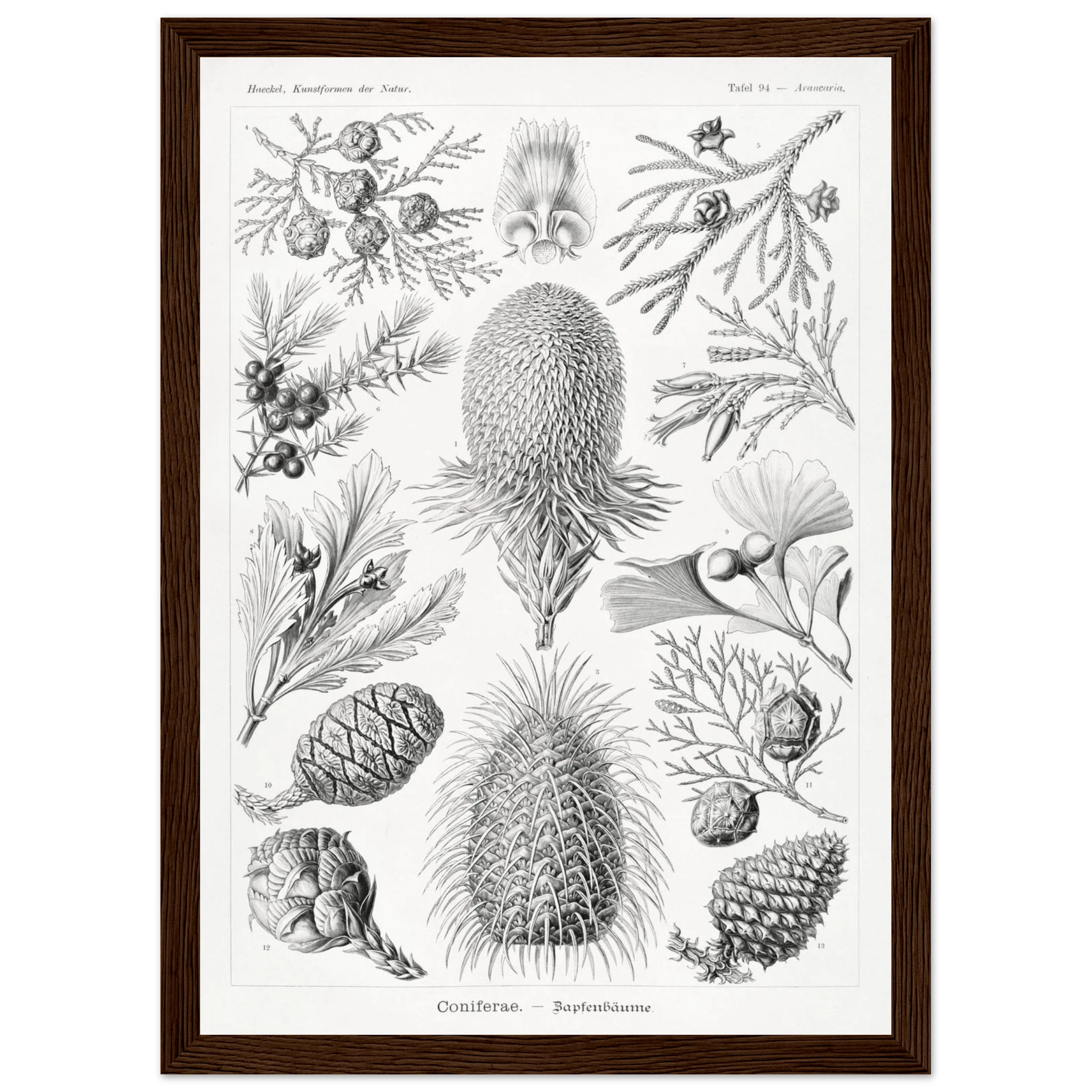 e98ffea7-e80c-42ac-b1fe-6891e9e286be