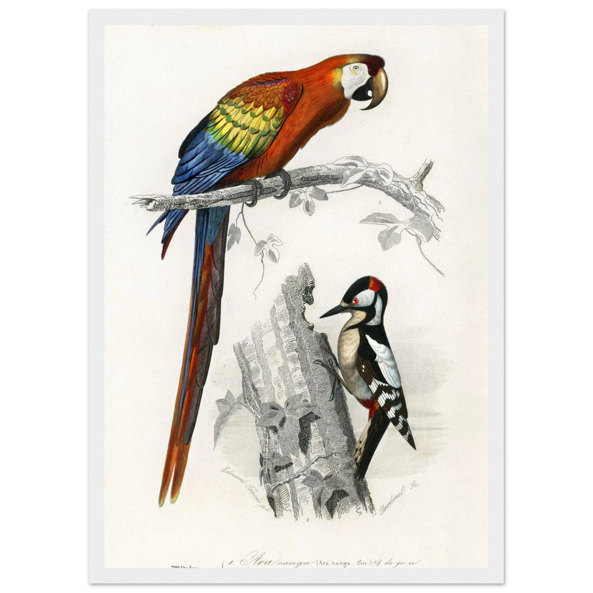 e99560c3-591f-4ccd-aa61-51267c04c1df