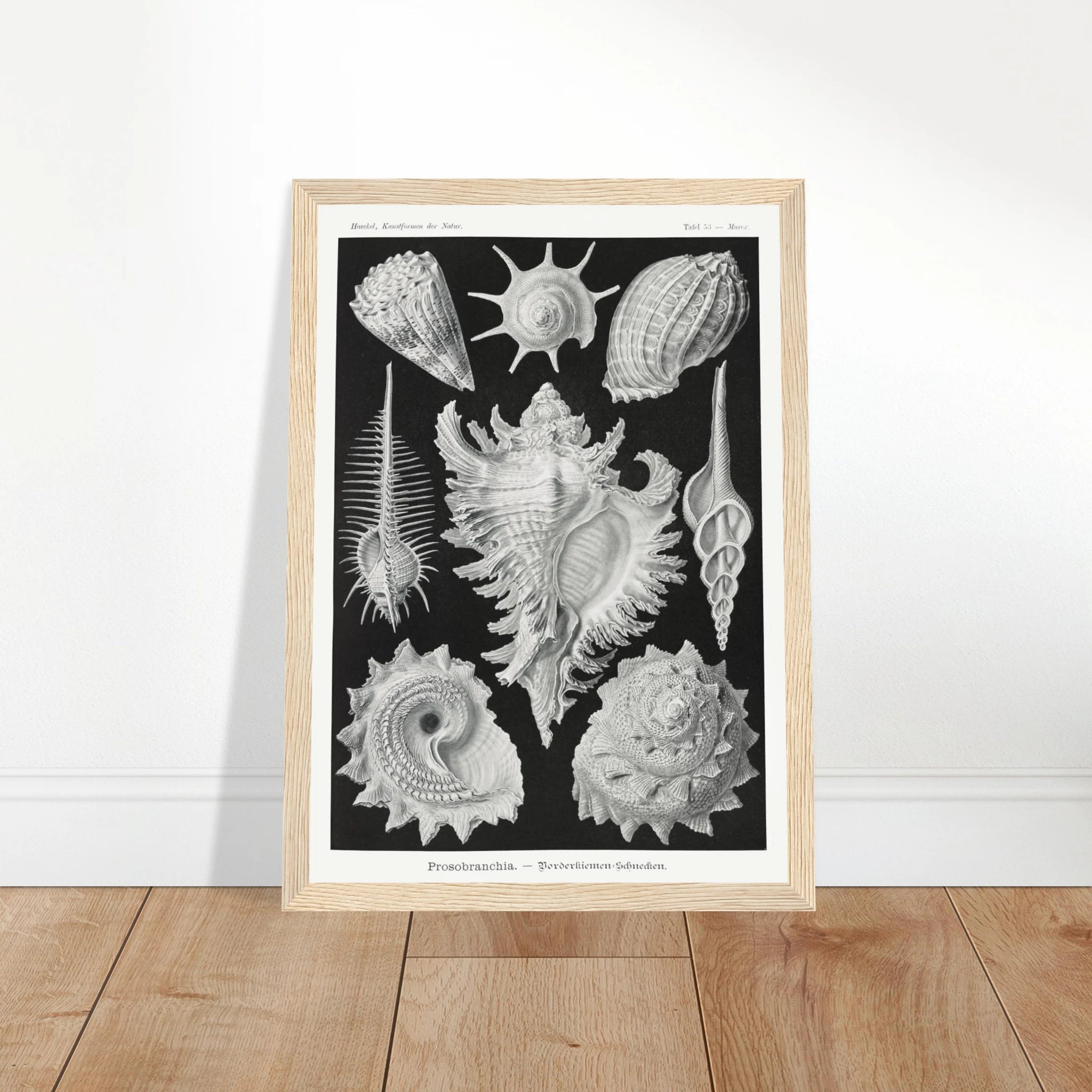 e9ea5f7e-6a24-4d8a-9528-38e9513bd4a6