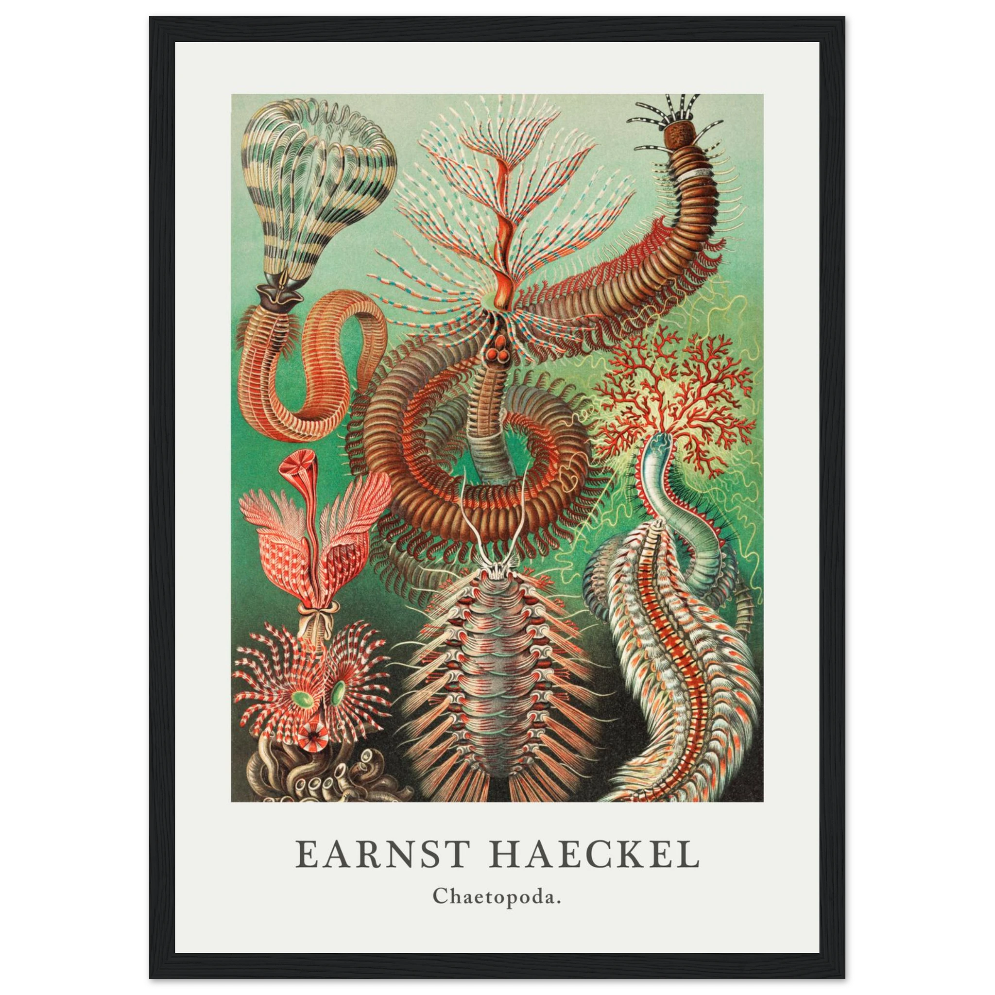 e9f5701f-e355-4ca4-9551-fb992c637d63