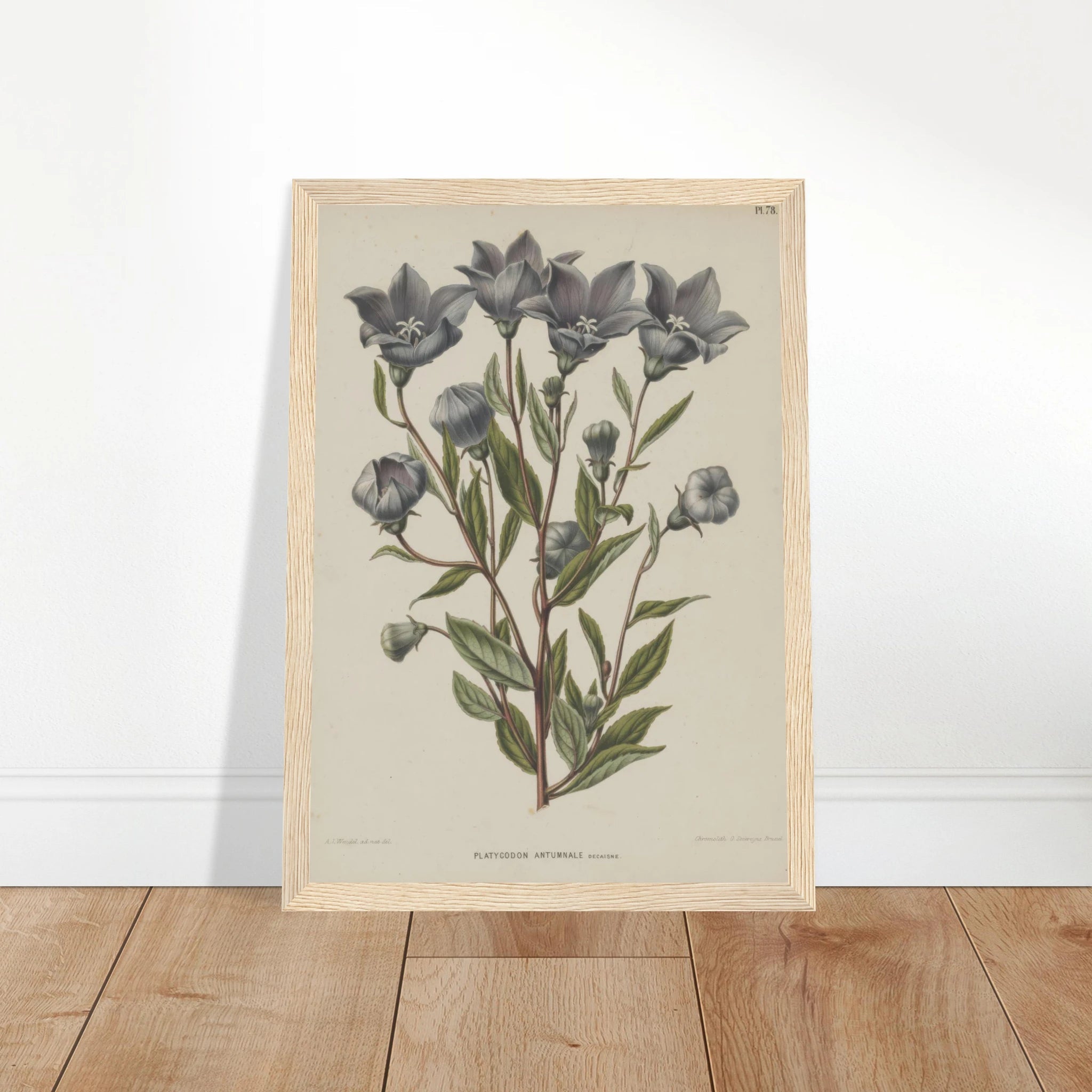 e9fadc7b-d9dd-4adb-8f6f-3f439f294b0d