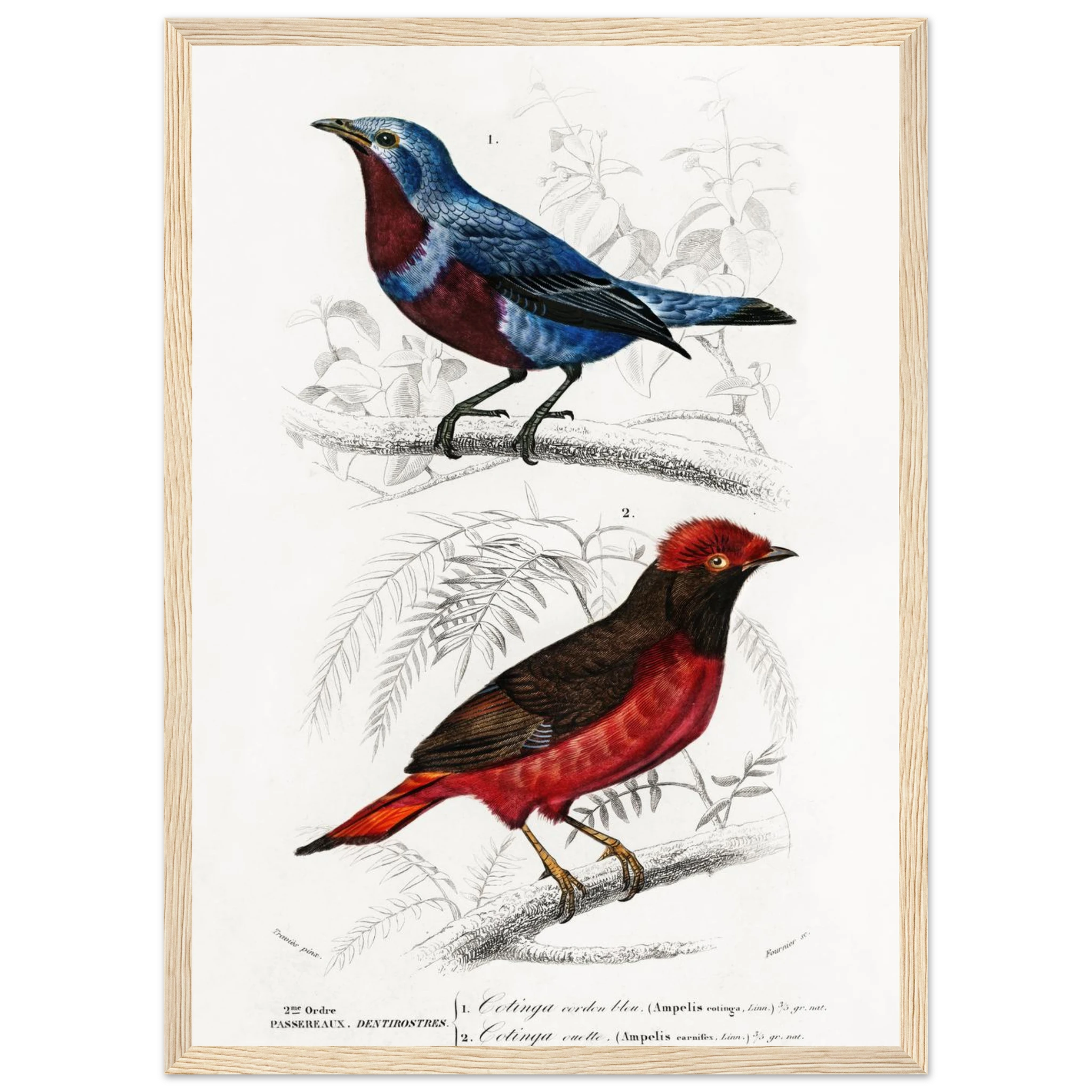 ea35ddd5-f5af-48e7-9be5-95943c136b43