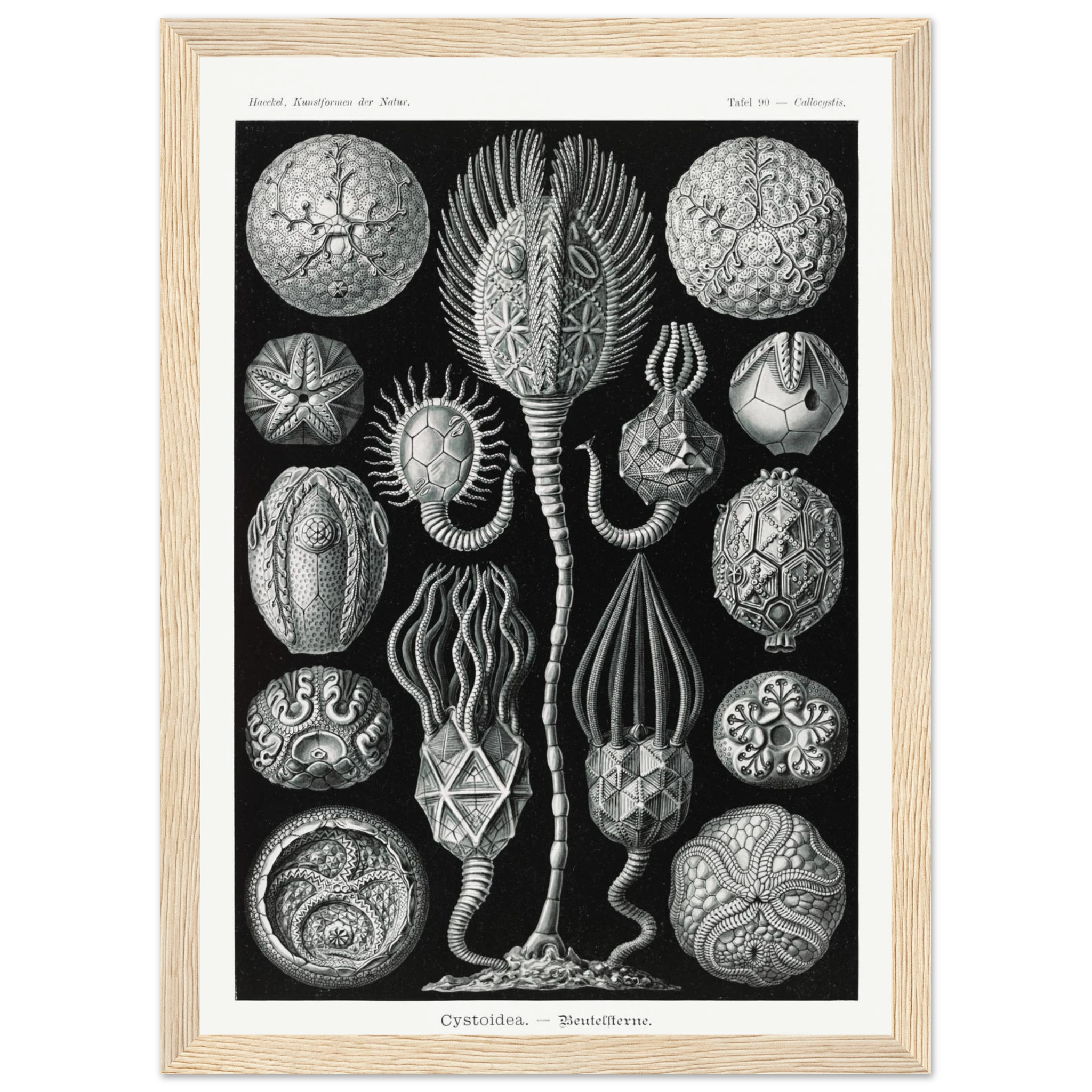 ea60f22f-3388-4e52-860b-a56e6f9fdbdc