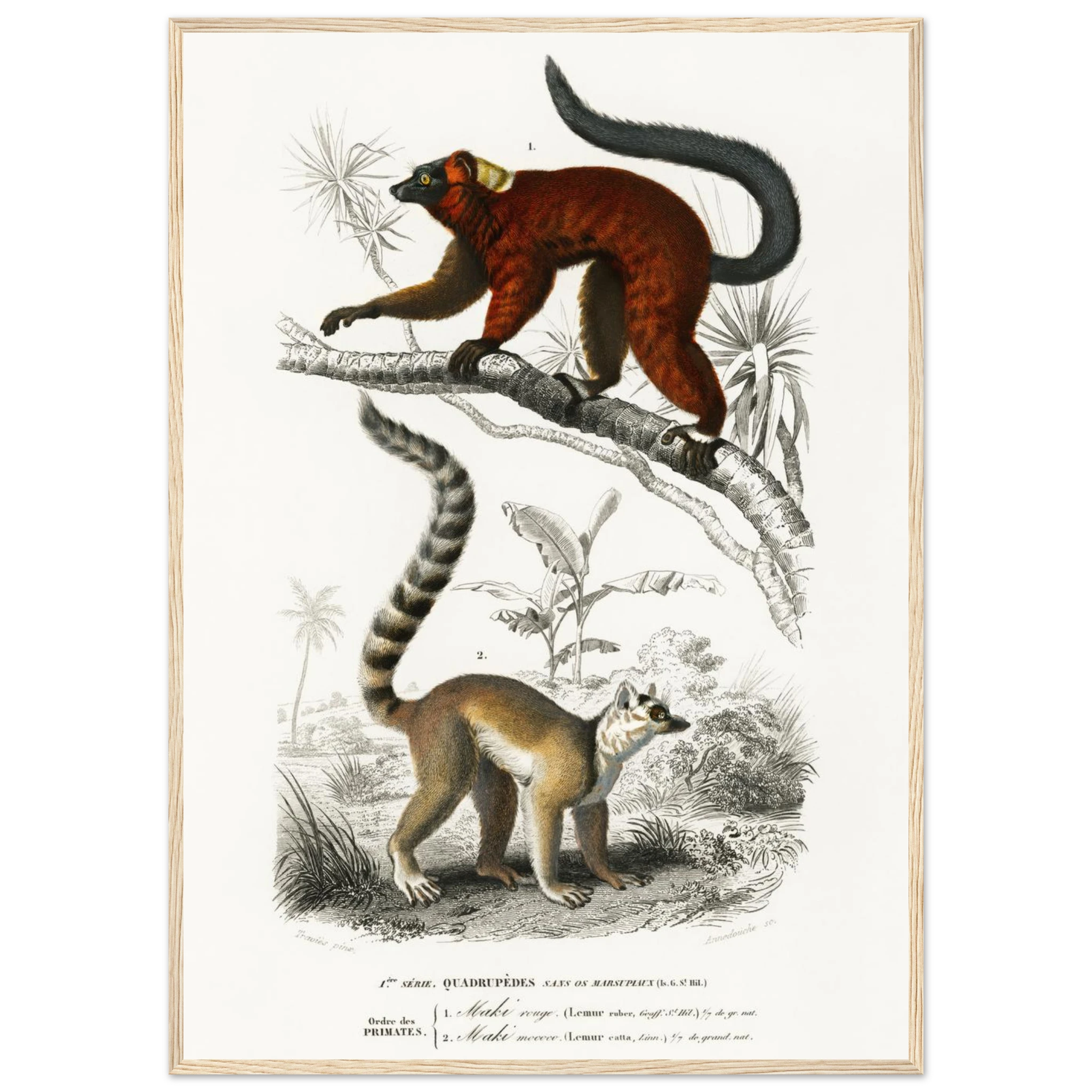 ea640fa9-23e9-47f3-8f12-6477c2a39151