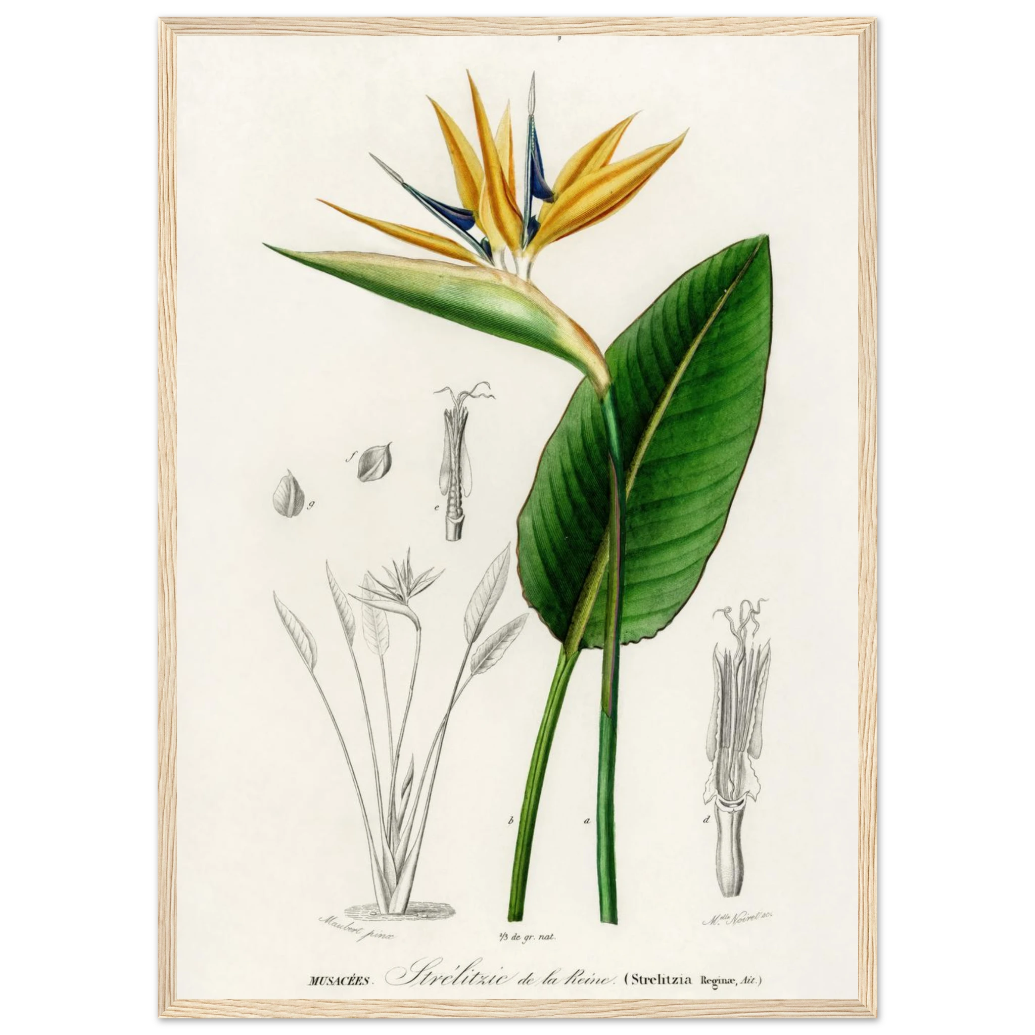 eb08afd8-4461-4a9b-aac6-314254d5cae8